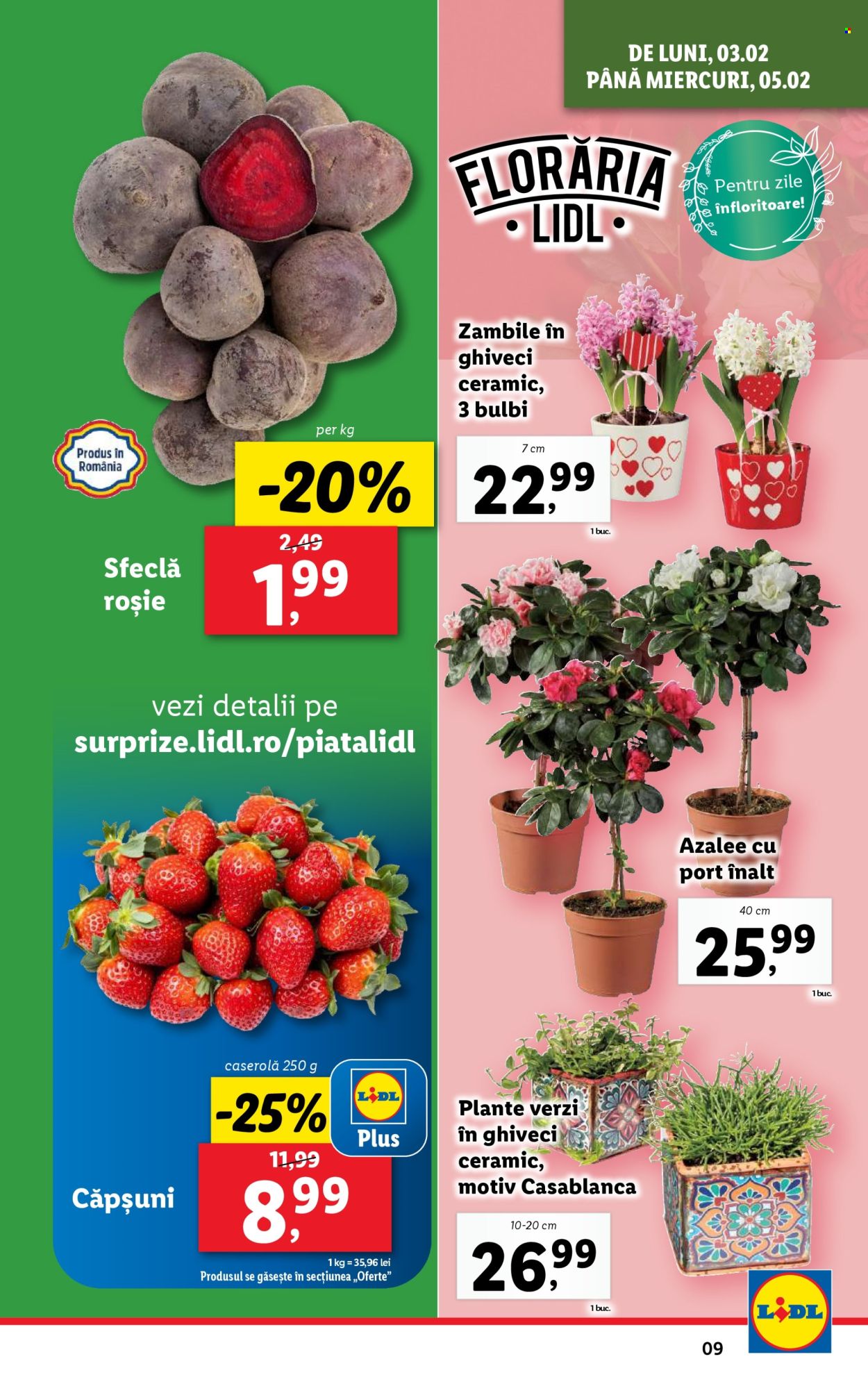 Catalog Lidl - 03.02.2025 - 09.02.2025. Pagina 9