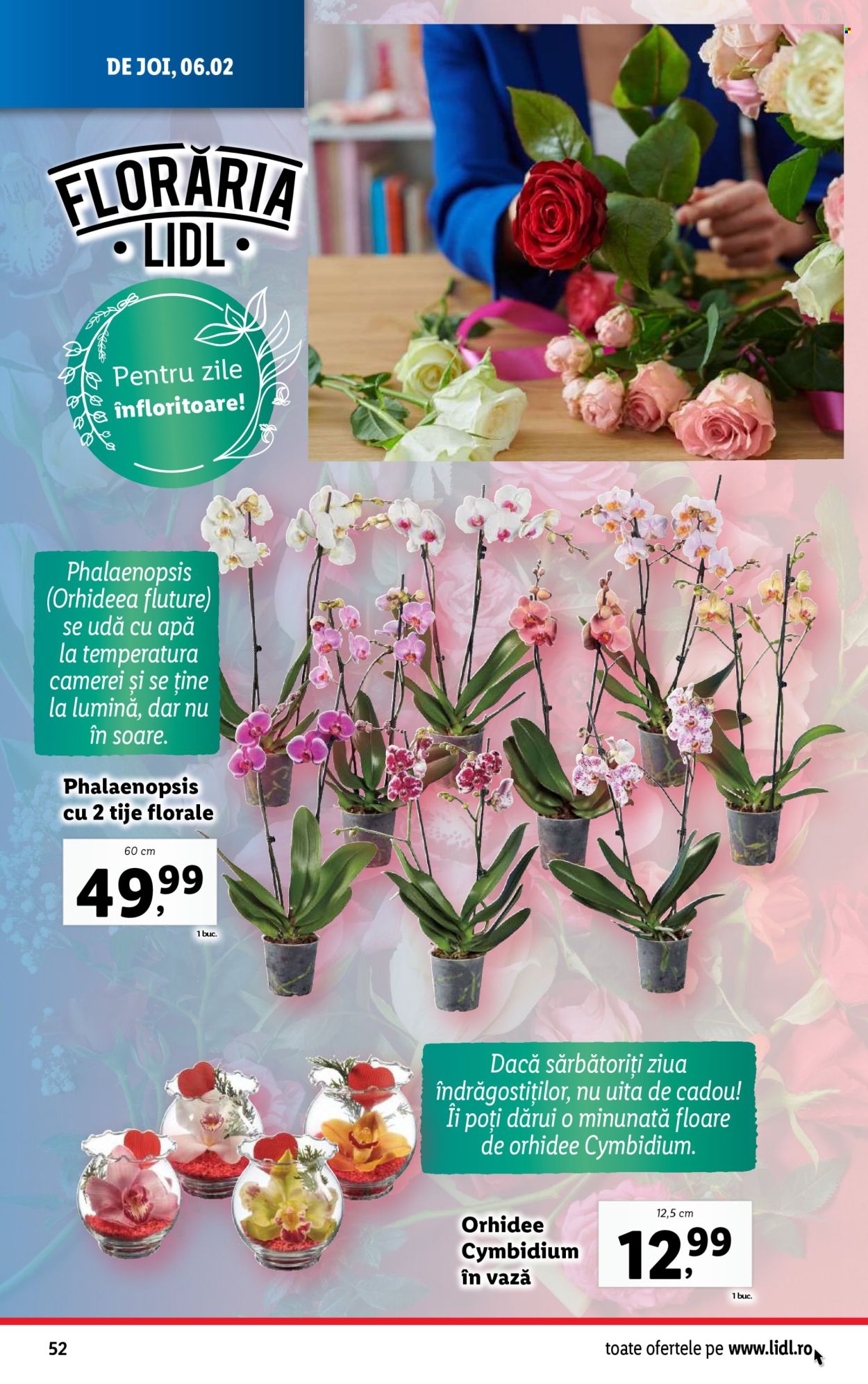 Catalog Lidl - 03.02.2025 - 09.02.2025. Pagina 52