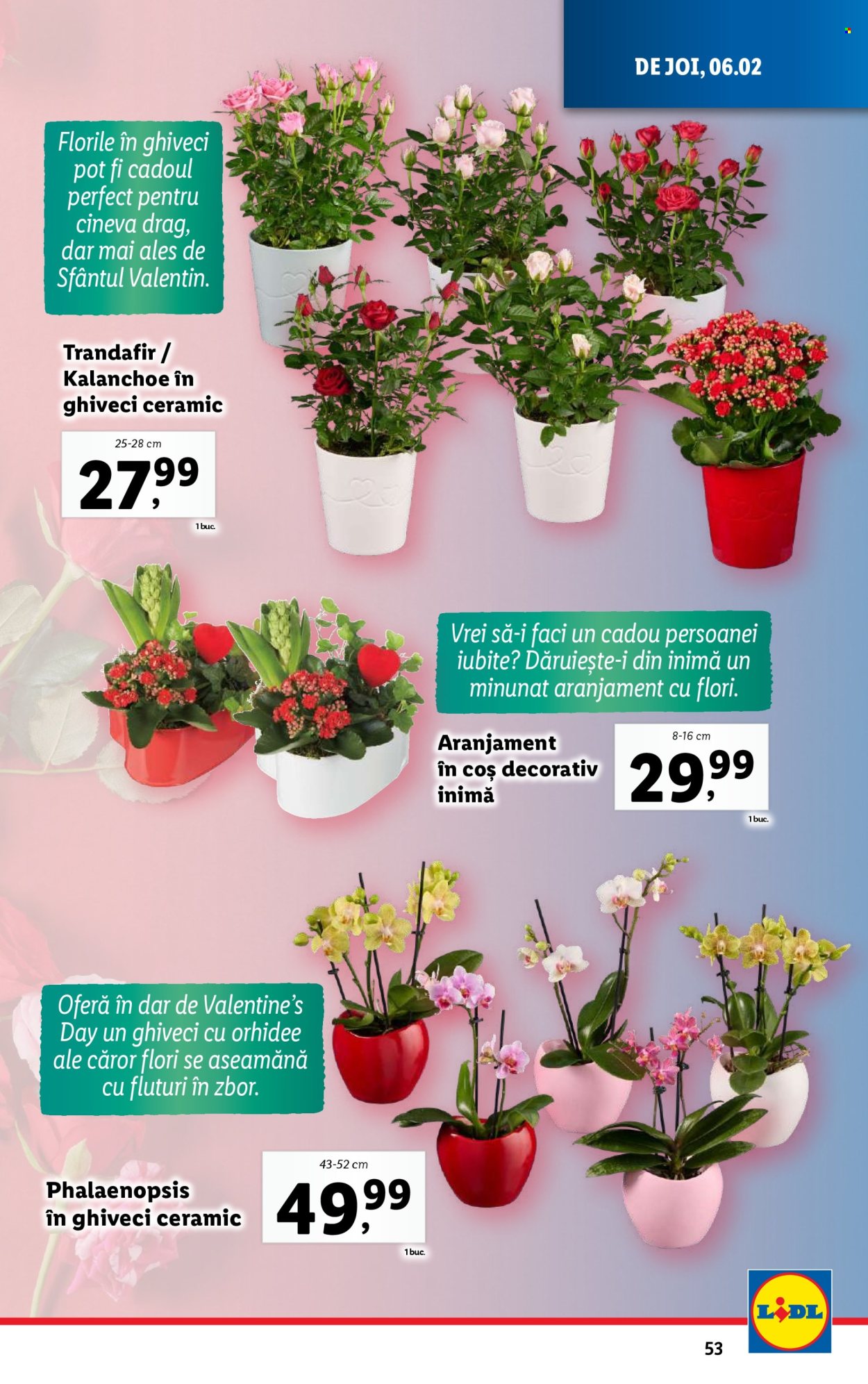 Catalog Lidl - 03.02.2025 - 09.02.2025. Pagina 53