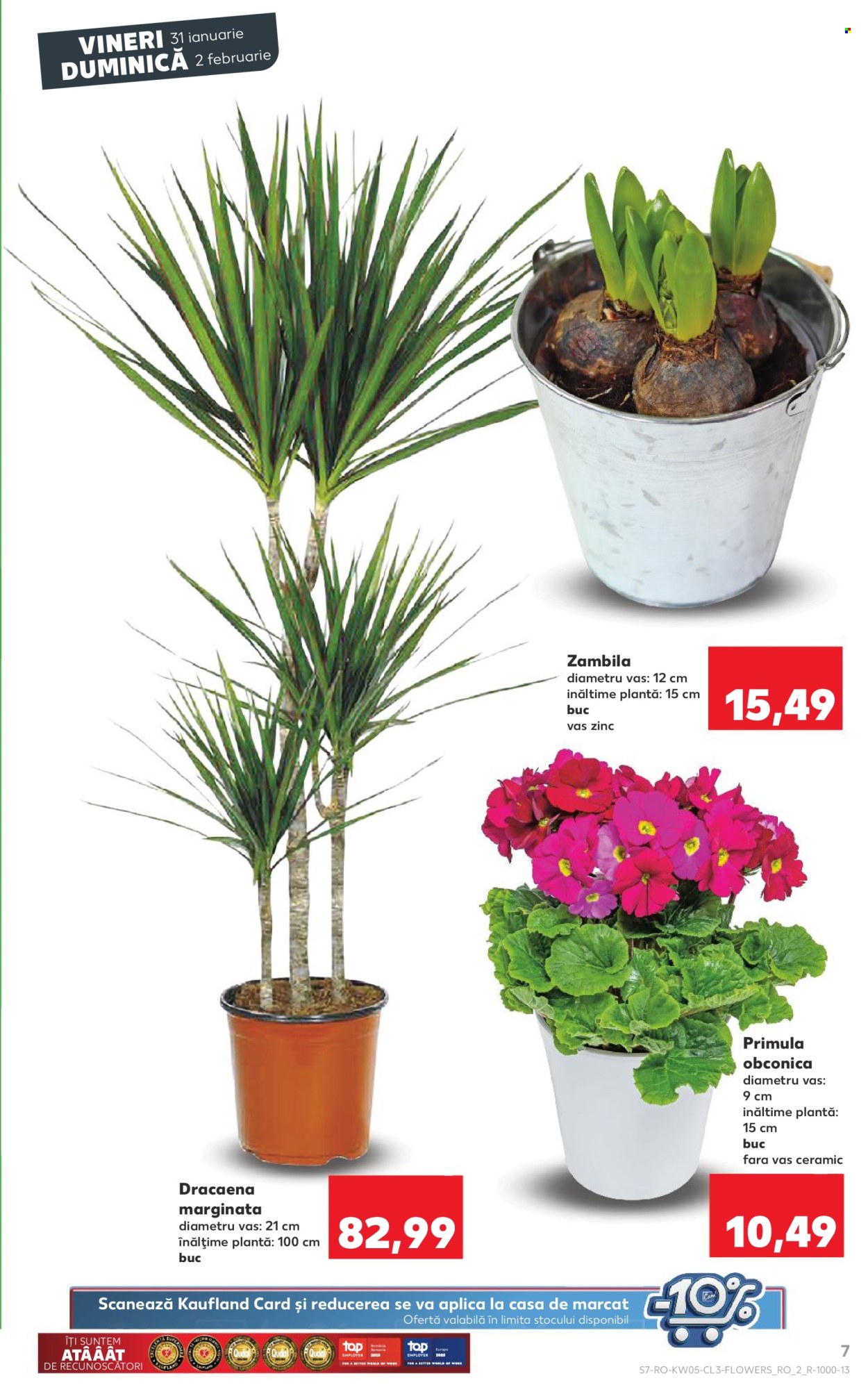 Catalog Kaufland - 31.01.2025 - 02.02.2025. Pagina 7