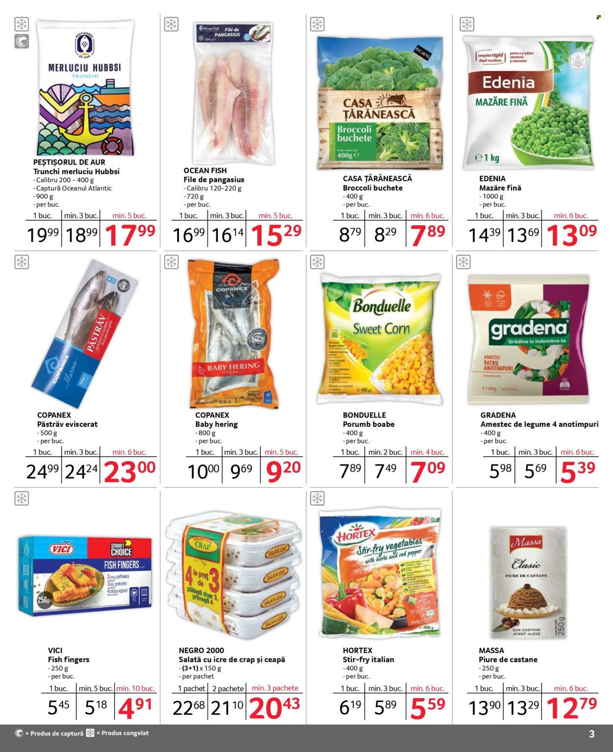 Catalog Selgros - 01.02.2025 - 28.02.2025. Pagina 3