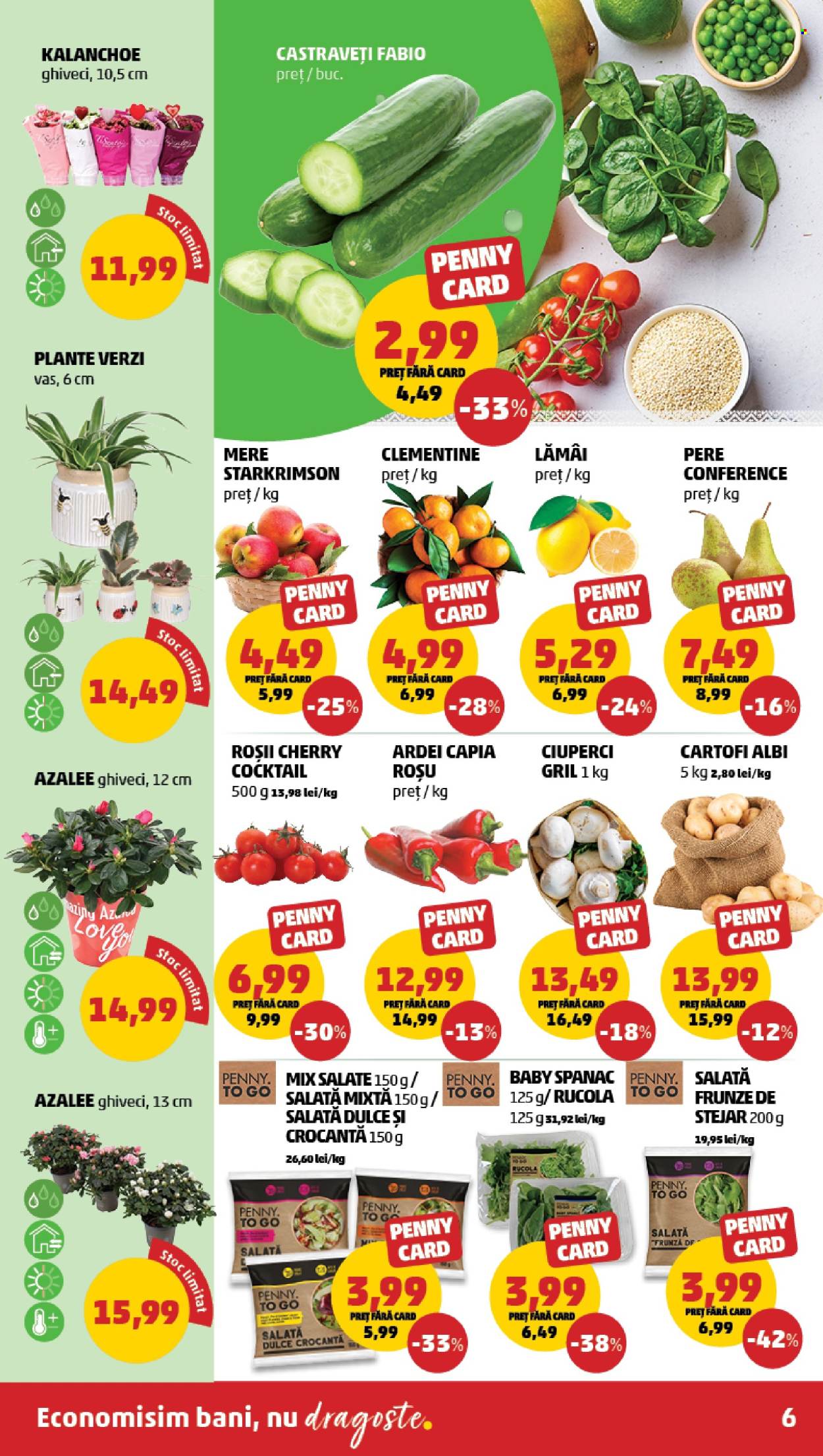 Catalog PENNY - 05.02.2025 - 11.02.2025. Pagina 6