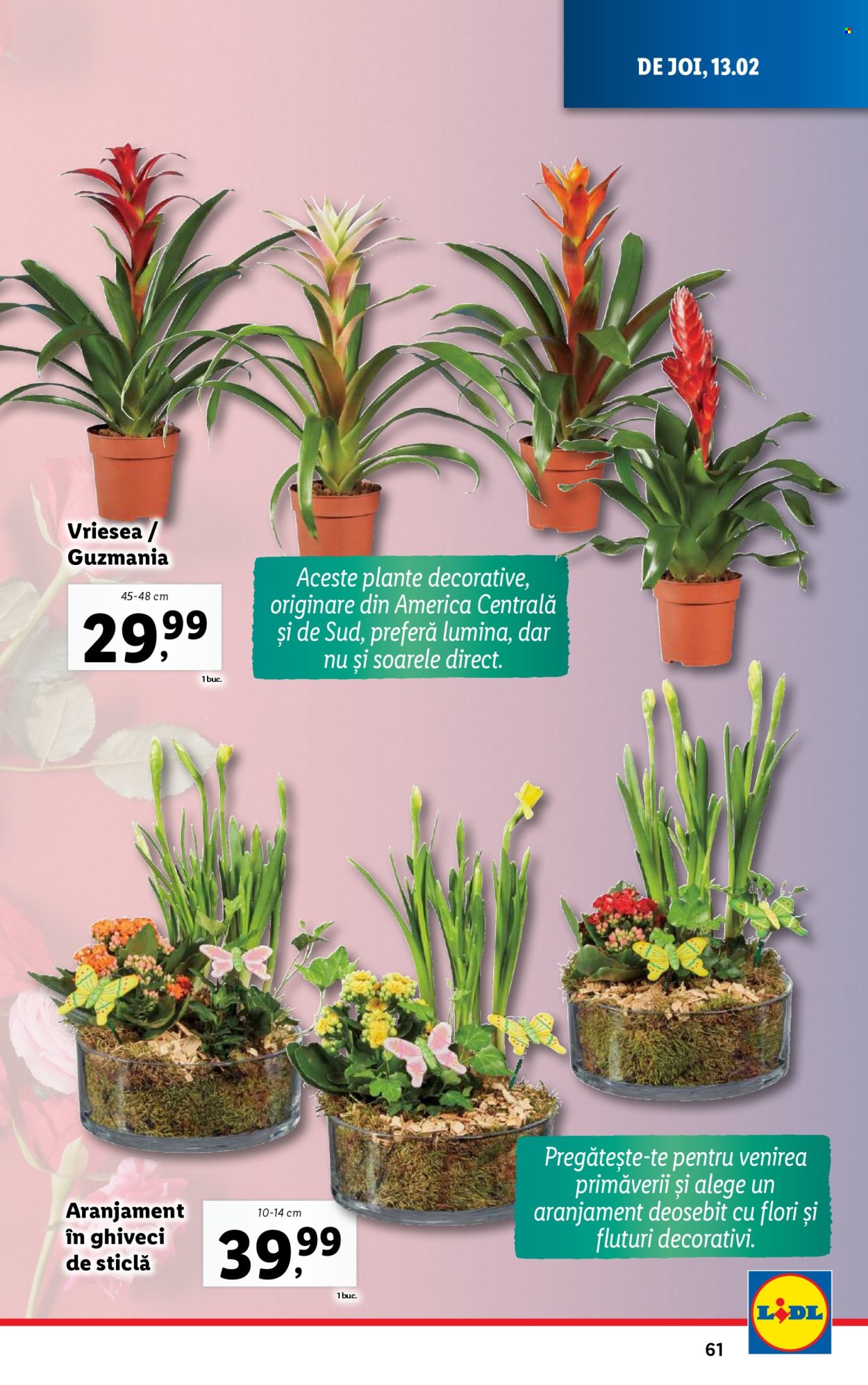 Catalog Lidl - 10.02.2025 - 16.02.2025. Pagina 61