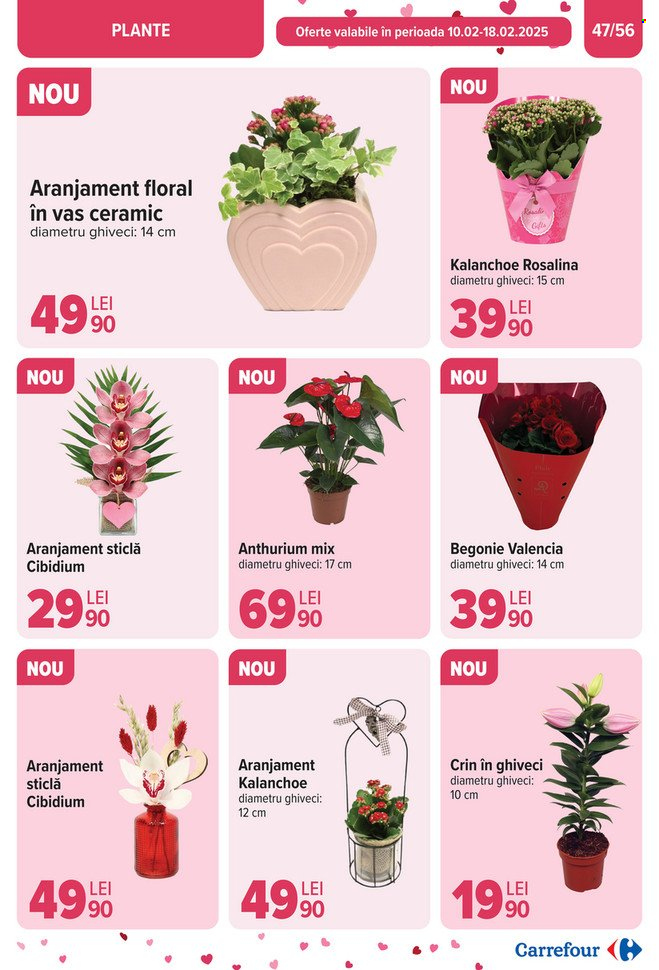 Catalog Carrefour - 05.02.2025 - 11.02.2025. Pagina 47