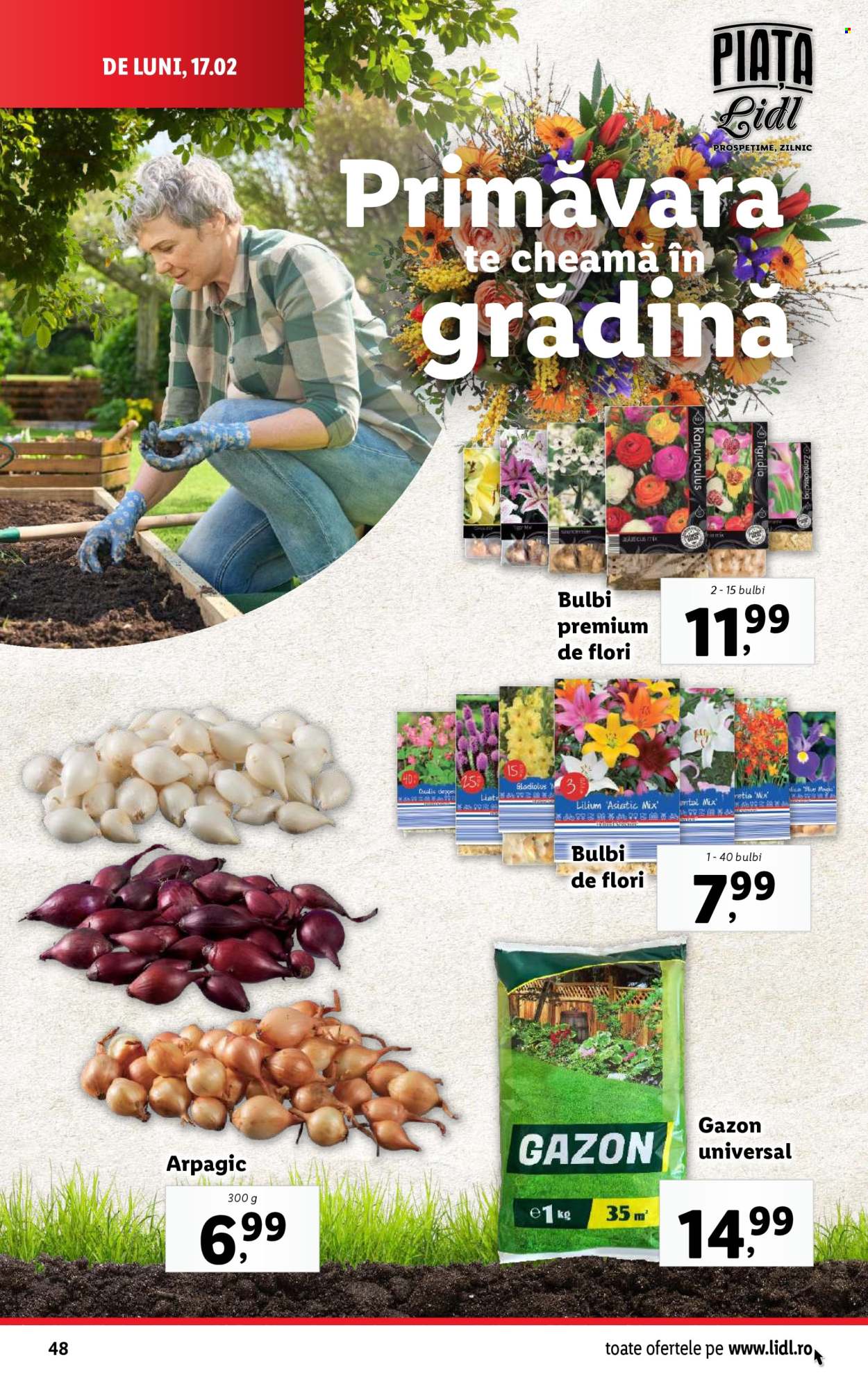 Catalog Lidl - 17.02.2025 - 23.02.2025. Pagina 48