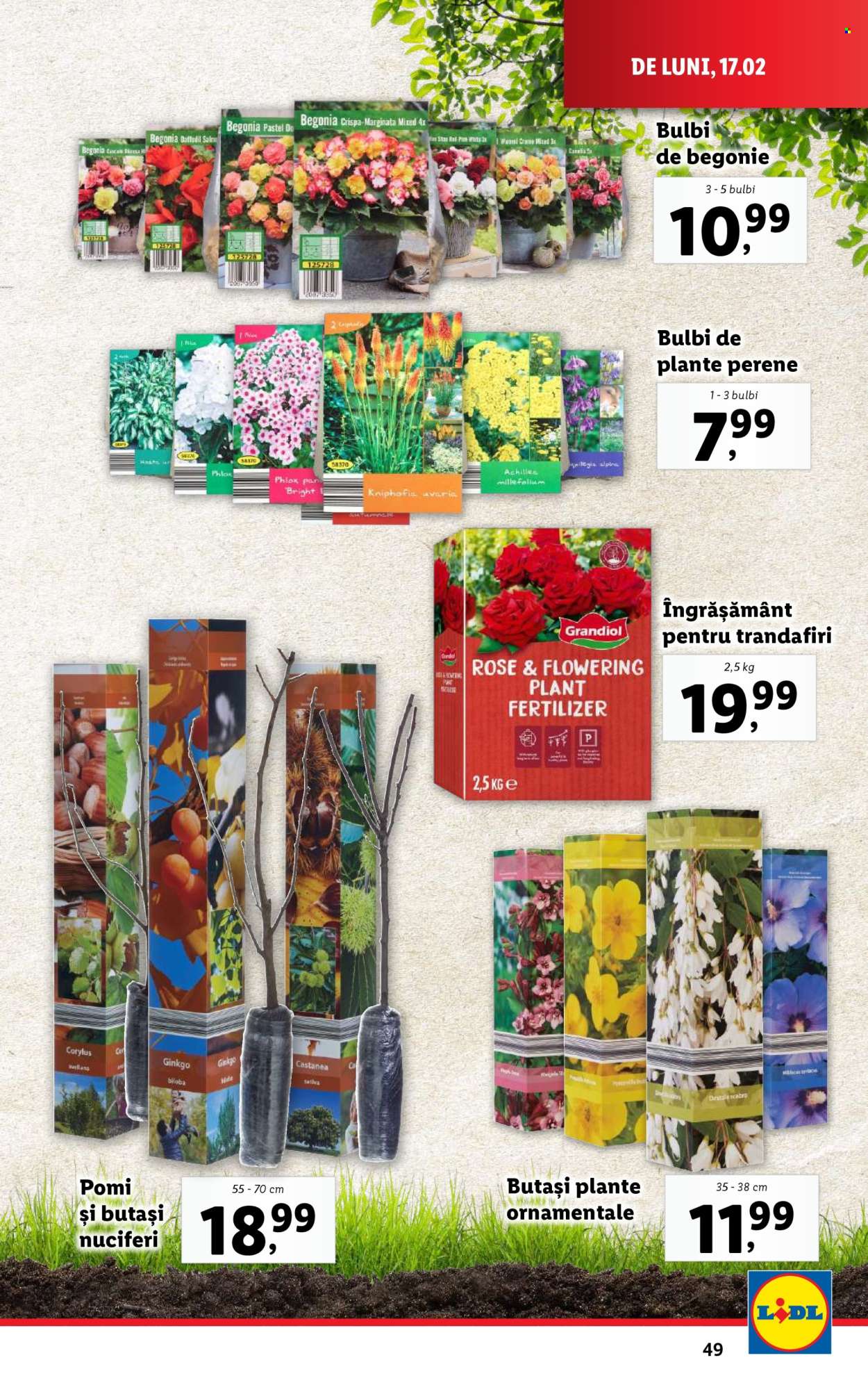 Catalog Lidl - 17.02.2025 - 23.02.2025. Pagina 49