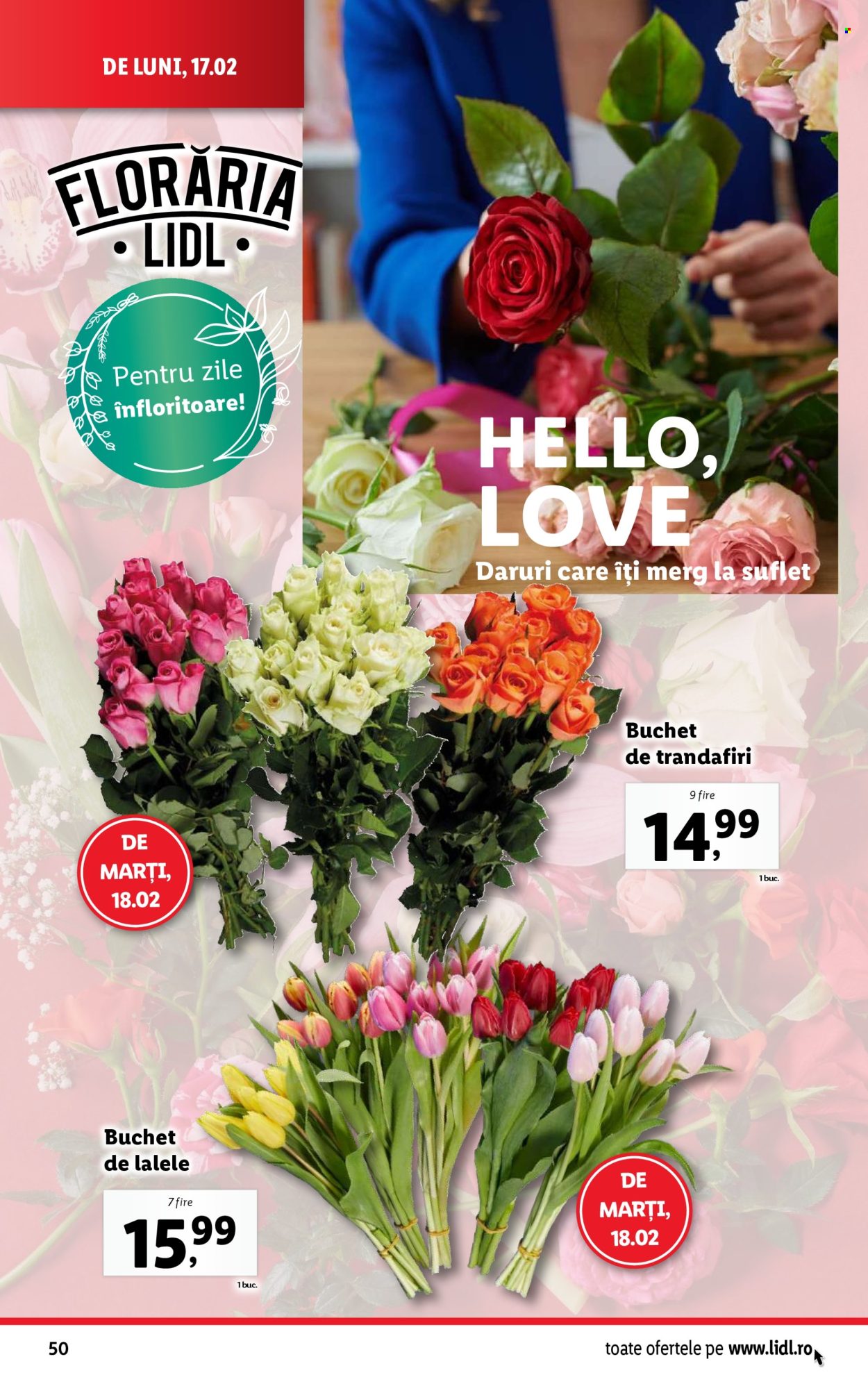 Catalog Lidl - 17.02.2025 - 23.02.2025. Pagina 50