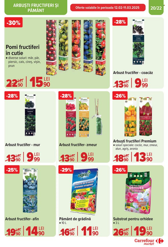 Catalog Carrefour - 12.02.2025 - 18.02.2025. Pagina 20