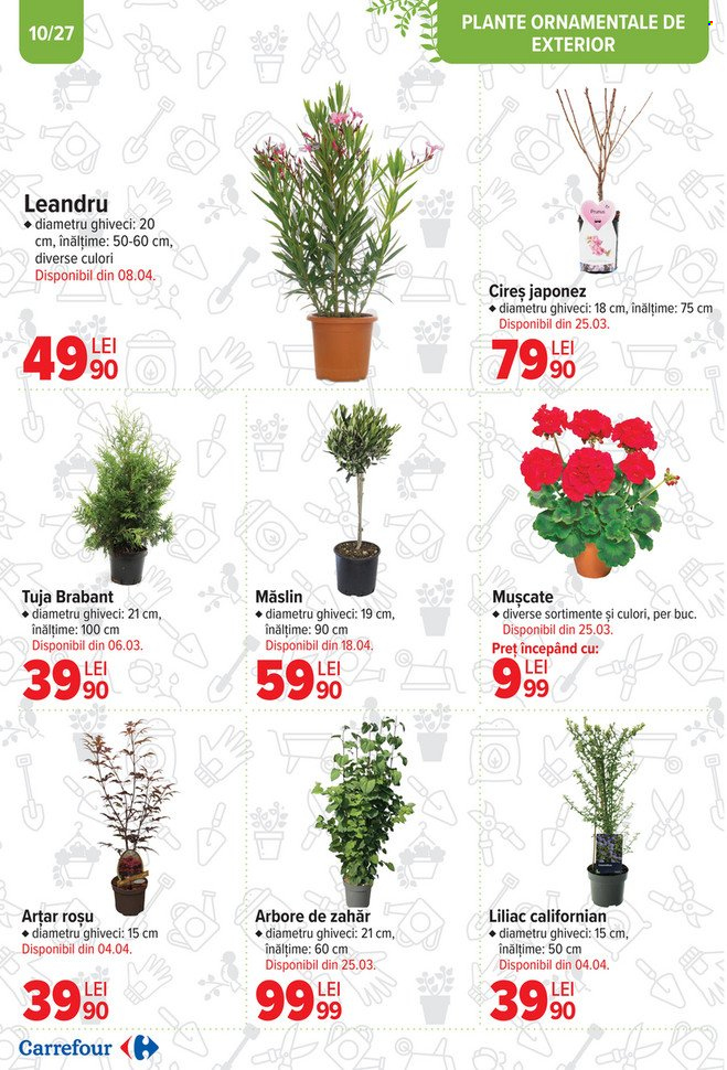 Catalog Carrefour - 12.02.2025 - 11.03.2025. Pagina 10