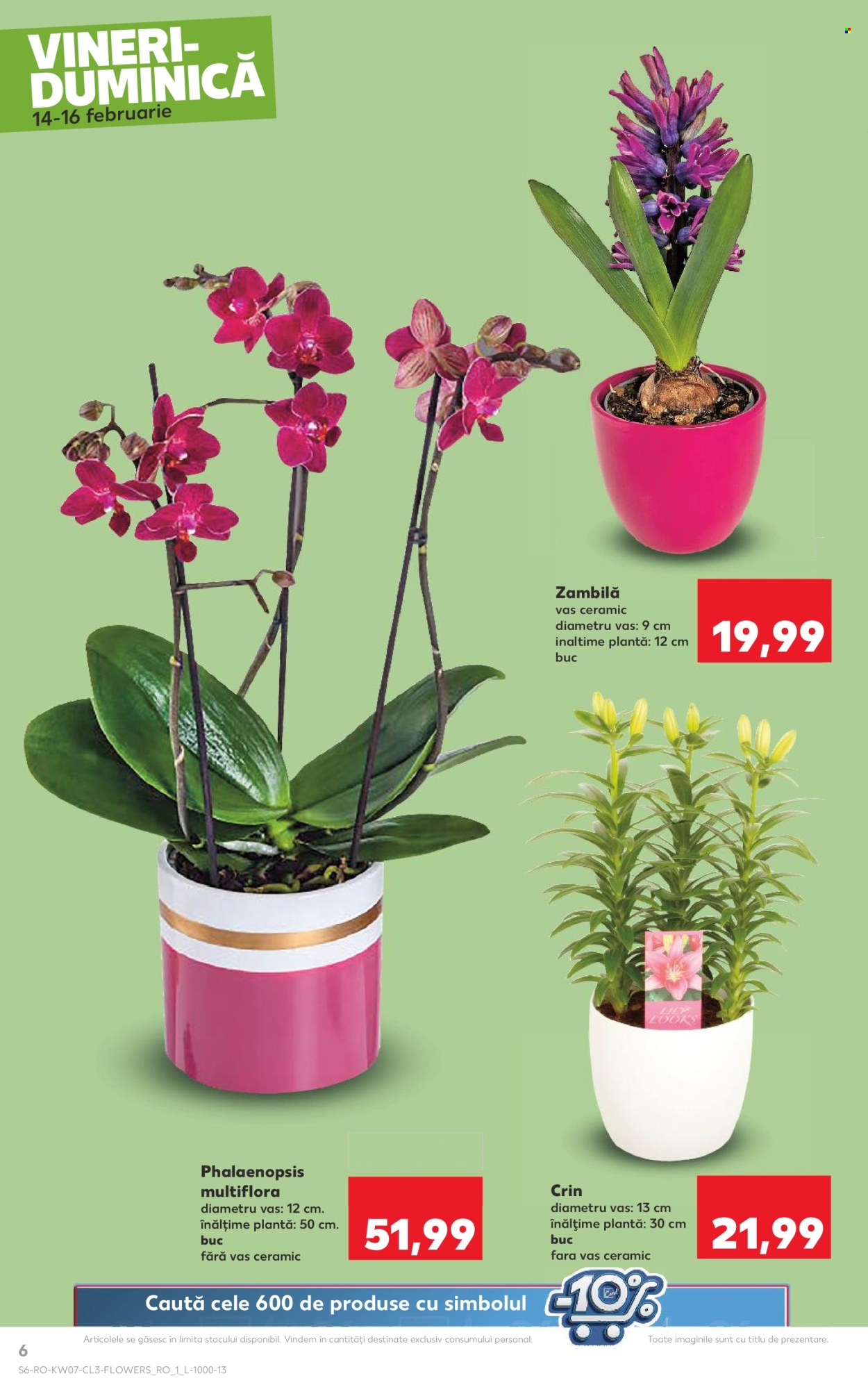 Catalog Kaufland - 14.02.2025 - 16.02.2025. Pagina 6