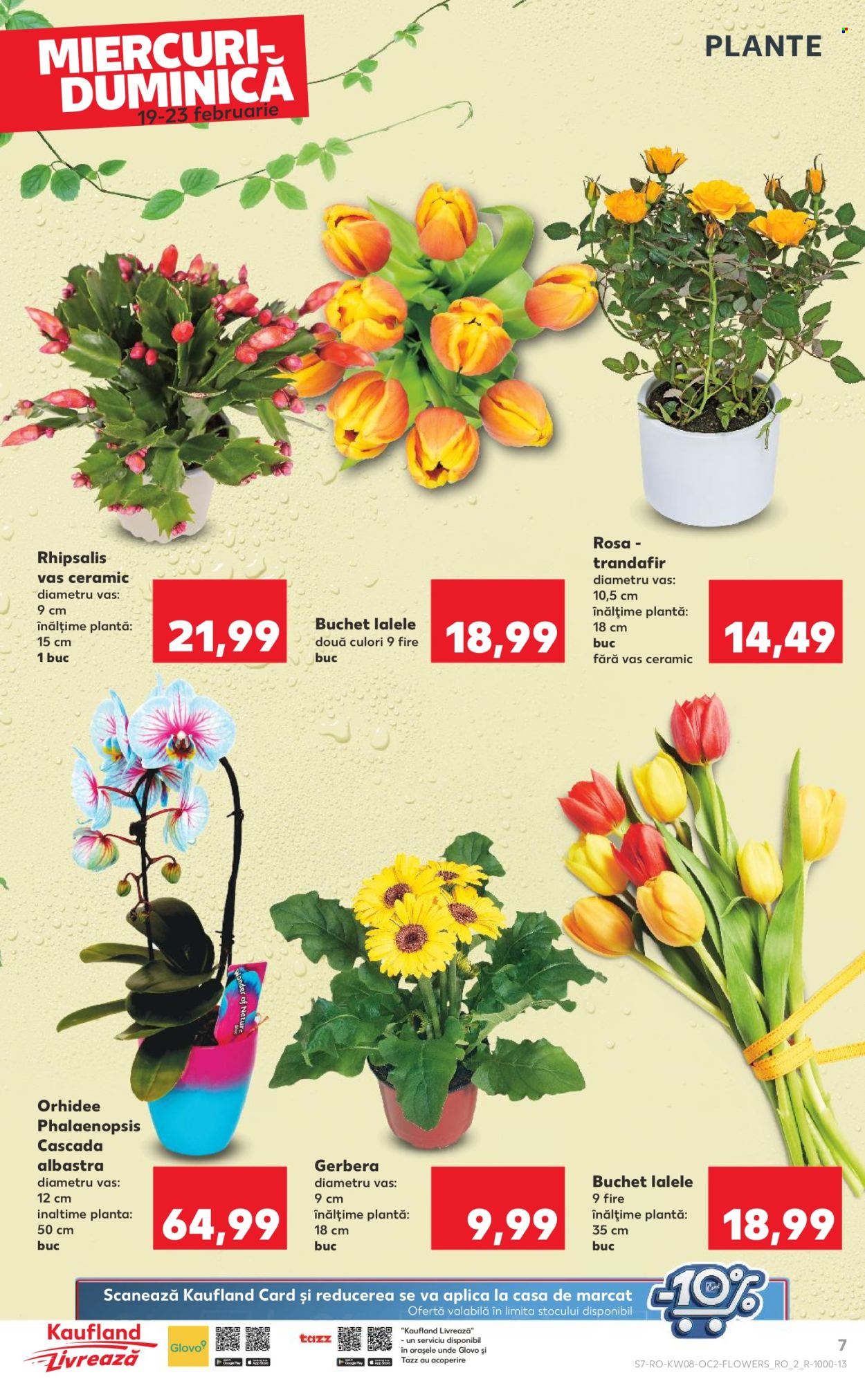 Catalog Kaufland - 19.02.2025 - 25.02.2025. Pagina 7