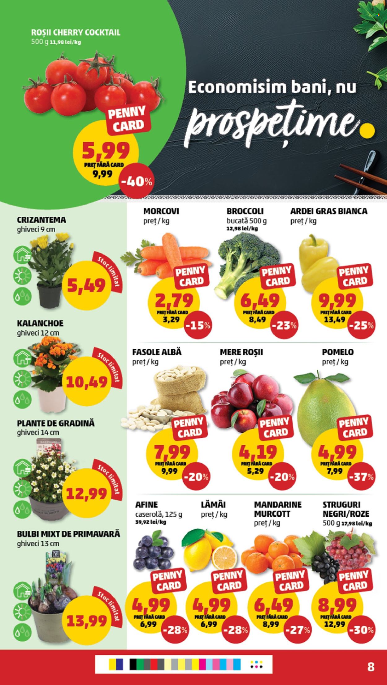 Catalog PENNY - 19.02.2025 - 25.02.2025. Pagina 8