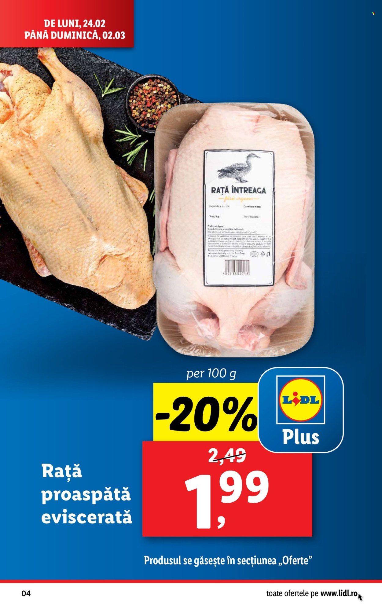 Catalog Lidl - 24.02.2025 - 02.03.2025. Pagina 4