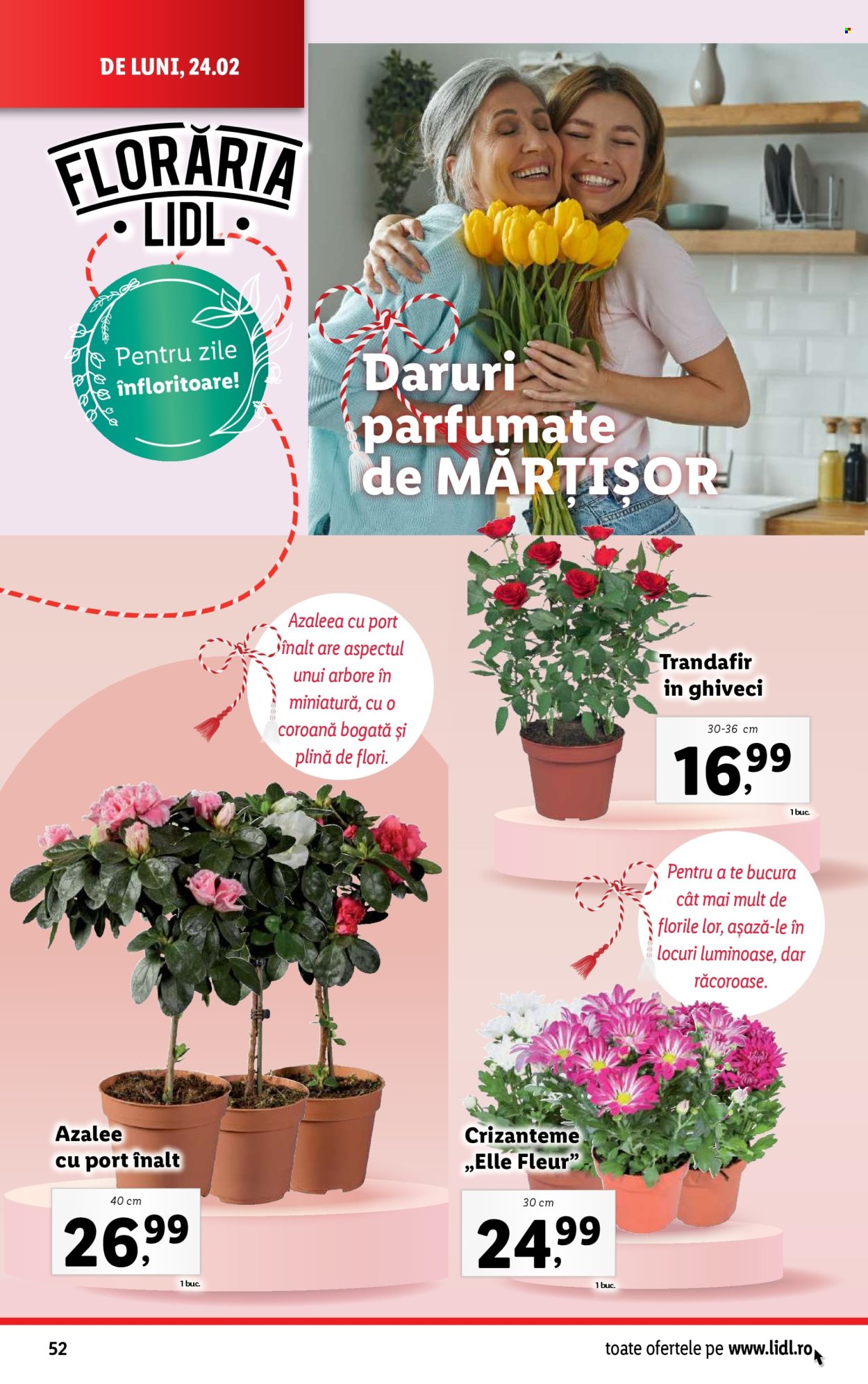 Catalog Lidl - 24.02.2025 - 02.03.2025. Pagina 52