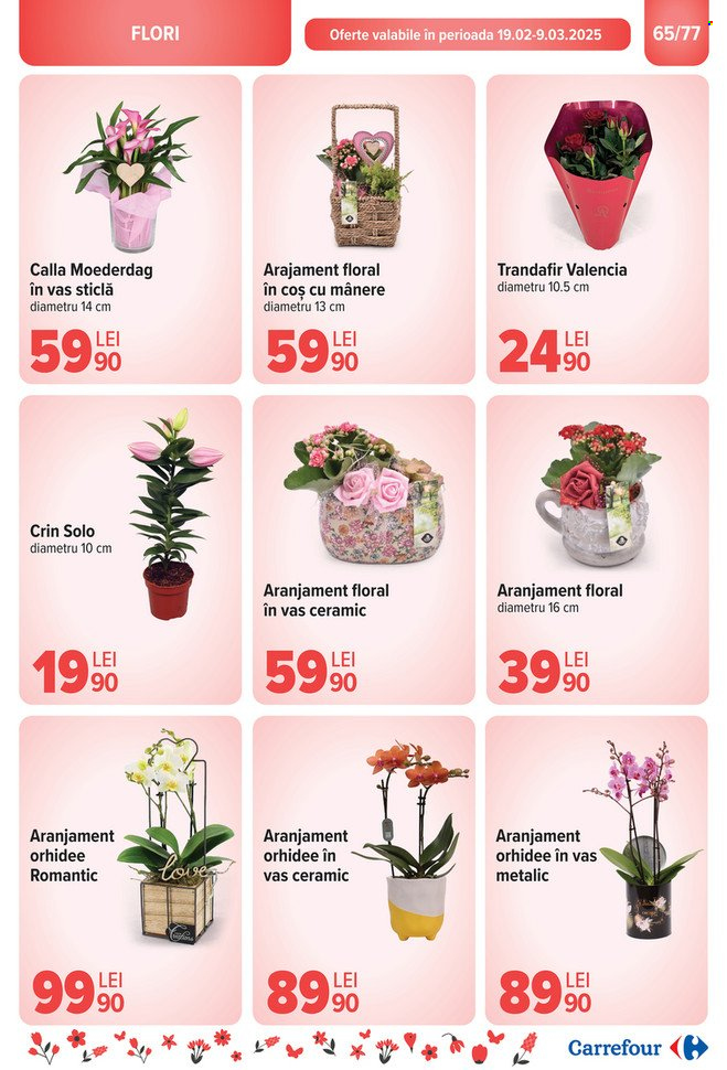 Catalog Carrefour - 19.02.2025 - 25.02.2025. Pagina 67