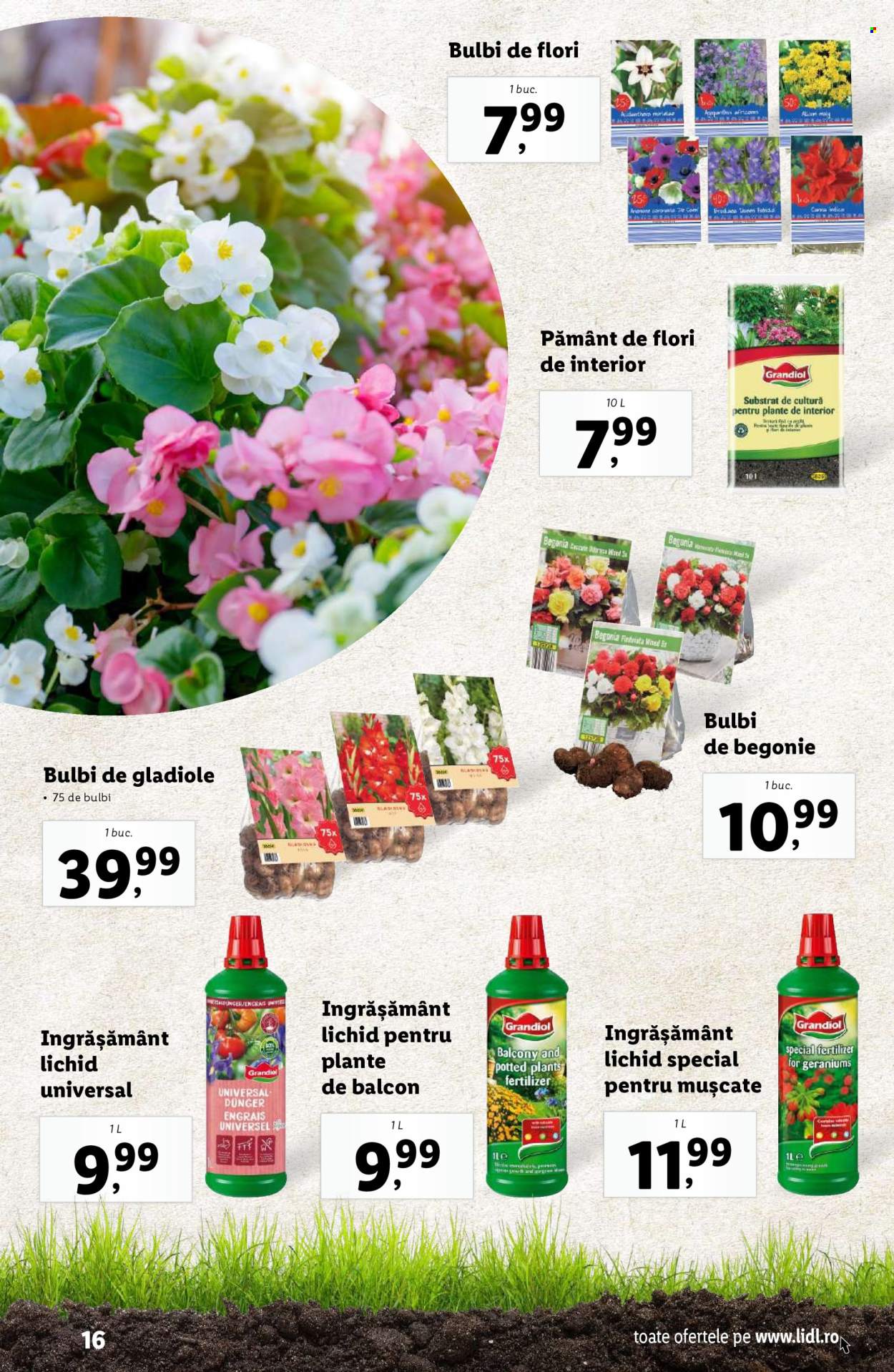 Catalog Lidl - 24.02.2025 - 13.04.2025. Pagina 16