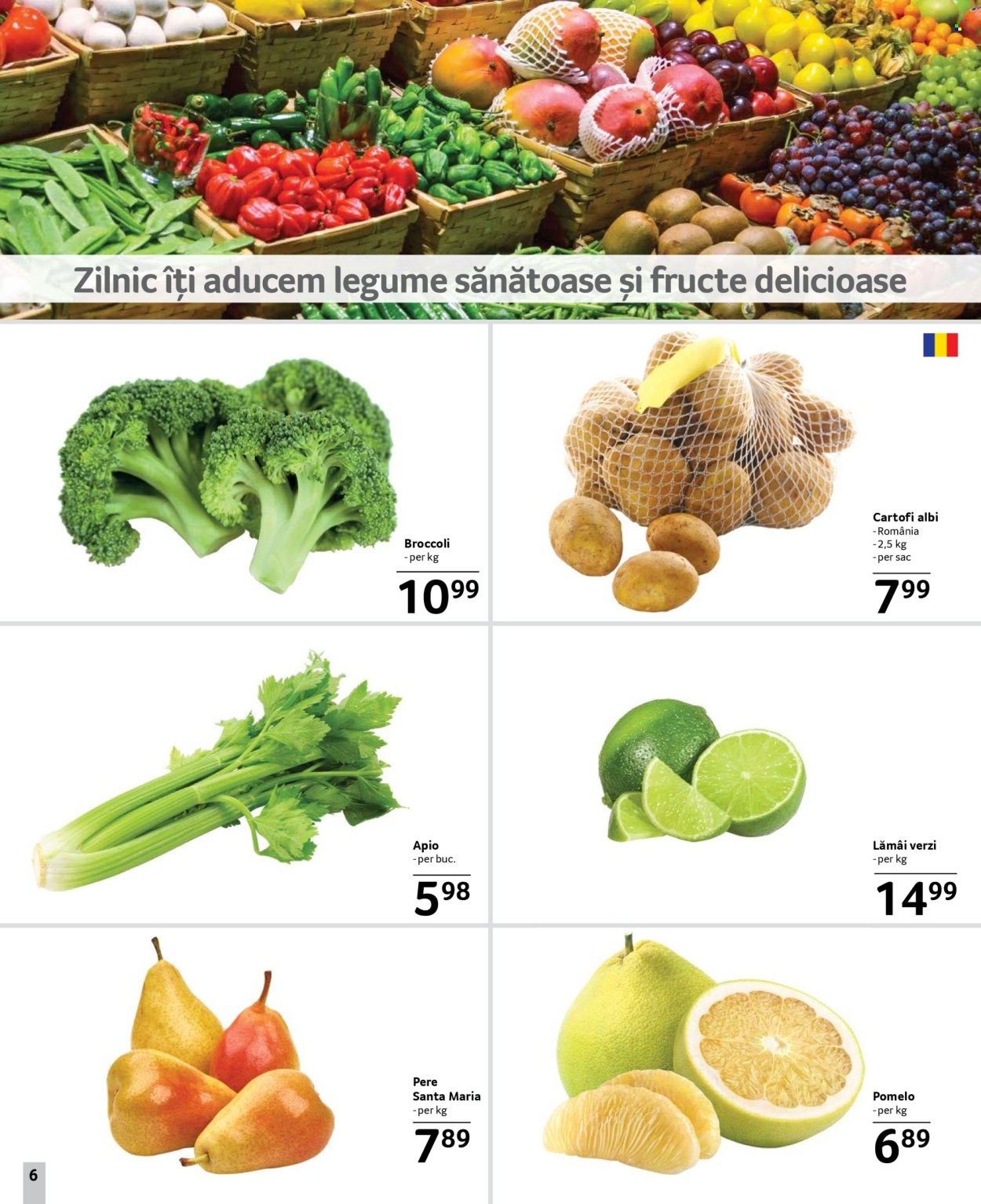 Catalog Selgros - 21.02.2025 - 06.03.2025. Pagina 6