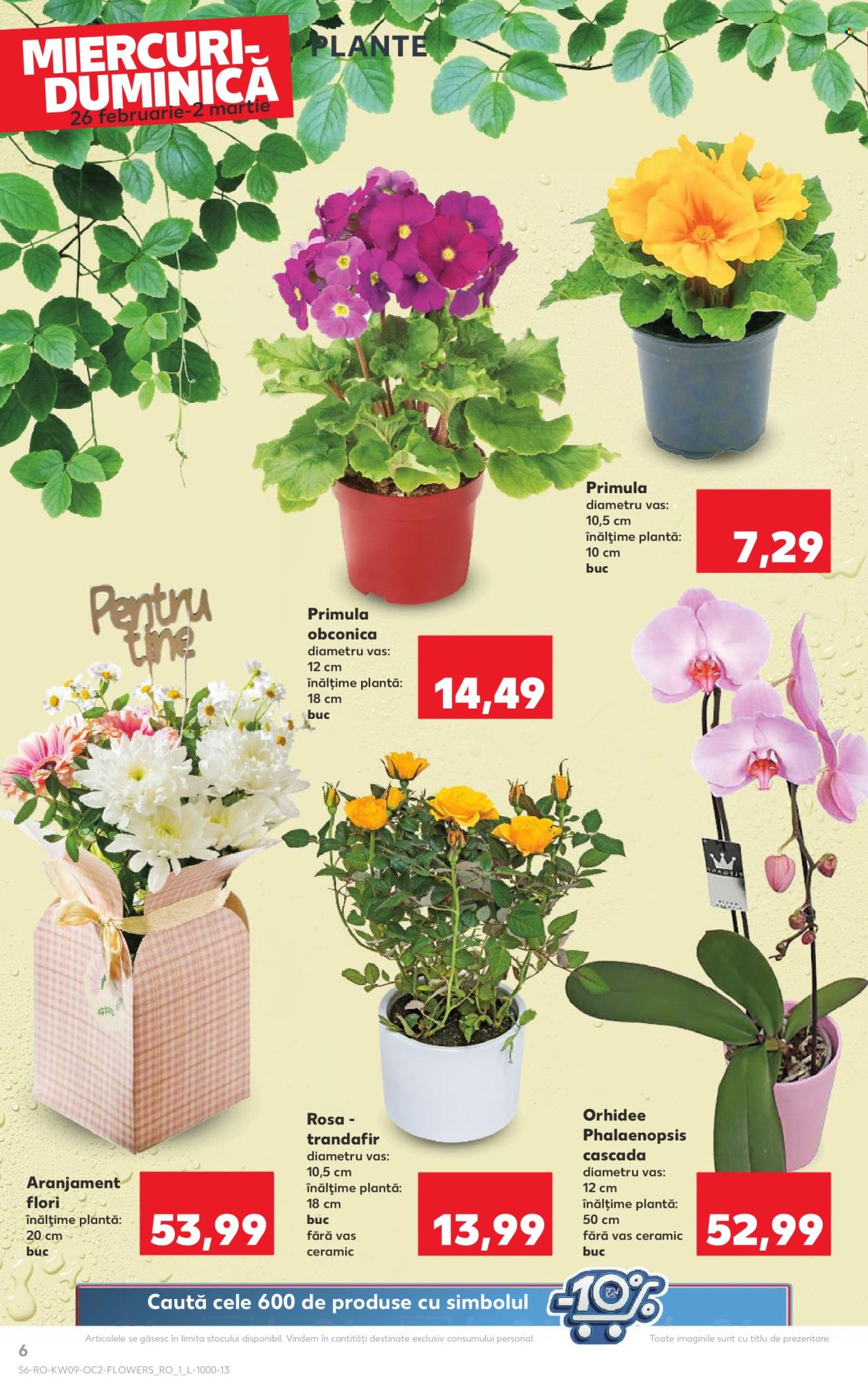 Catalog Kaufland - 26.02.2025 - 04.03.2025. Pagina 6