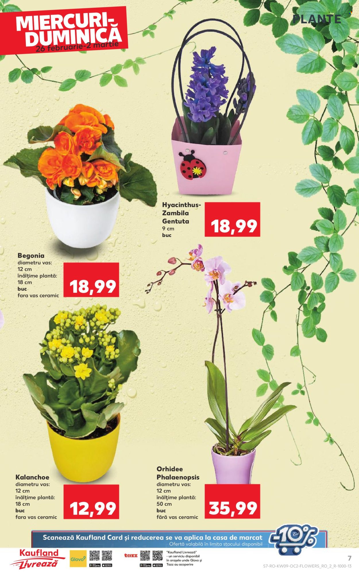 Catalog Kaufland - 26.02.2025 - 04.03.2025. Pagina 7
