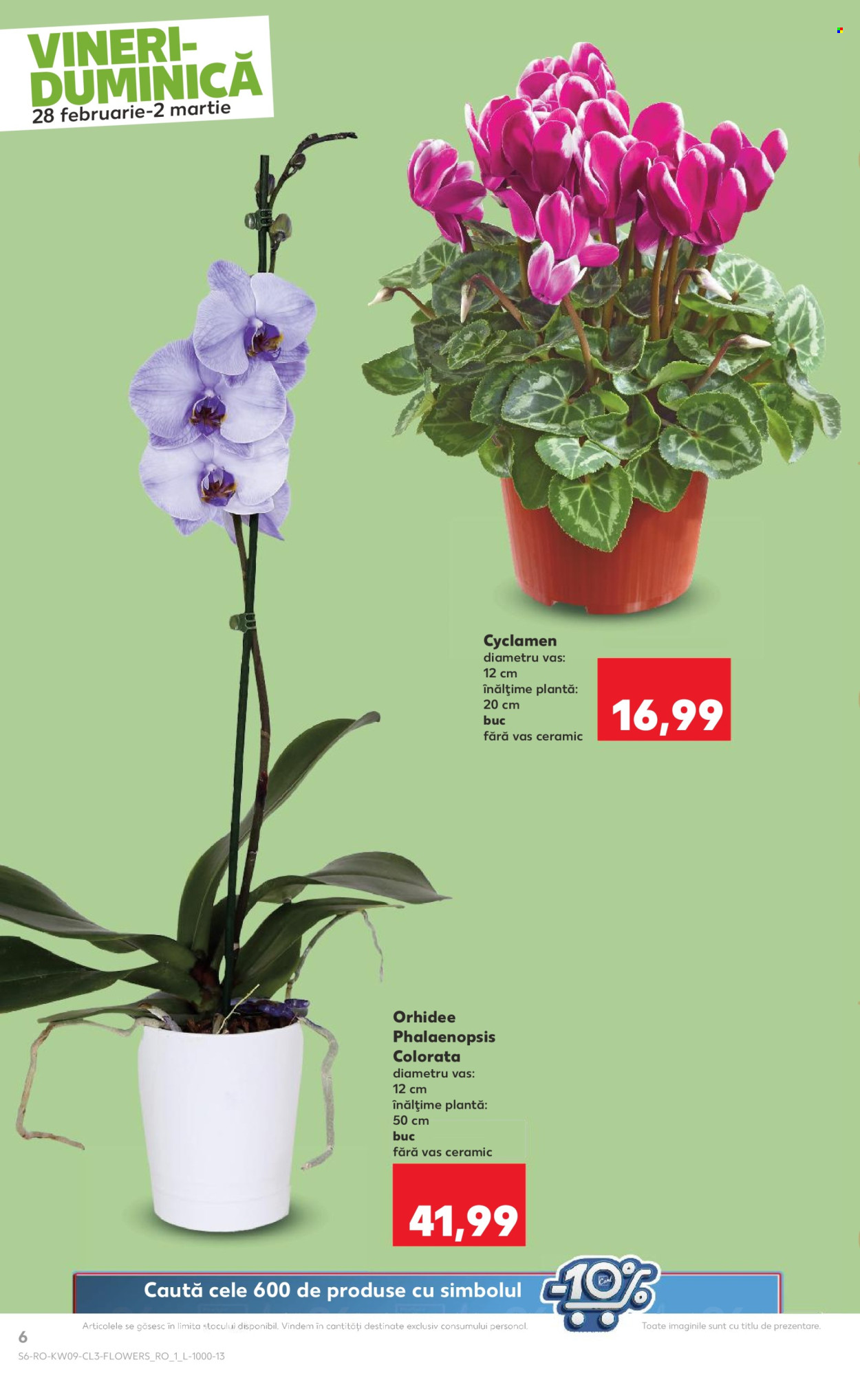 Catalog Kaufland - 28.02.2025 - 02.03.2025. Pagina 6