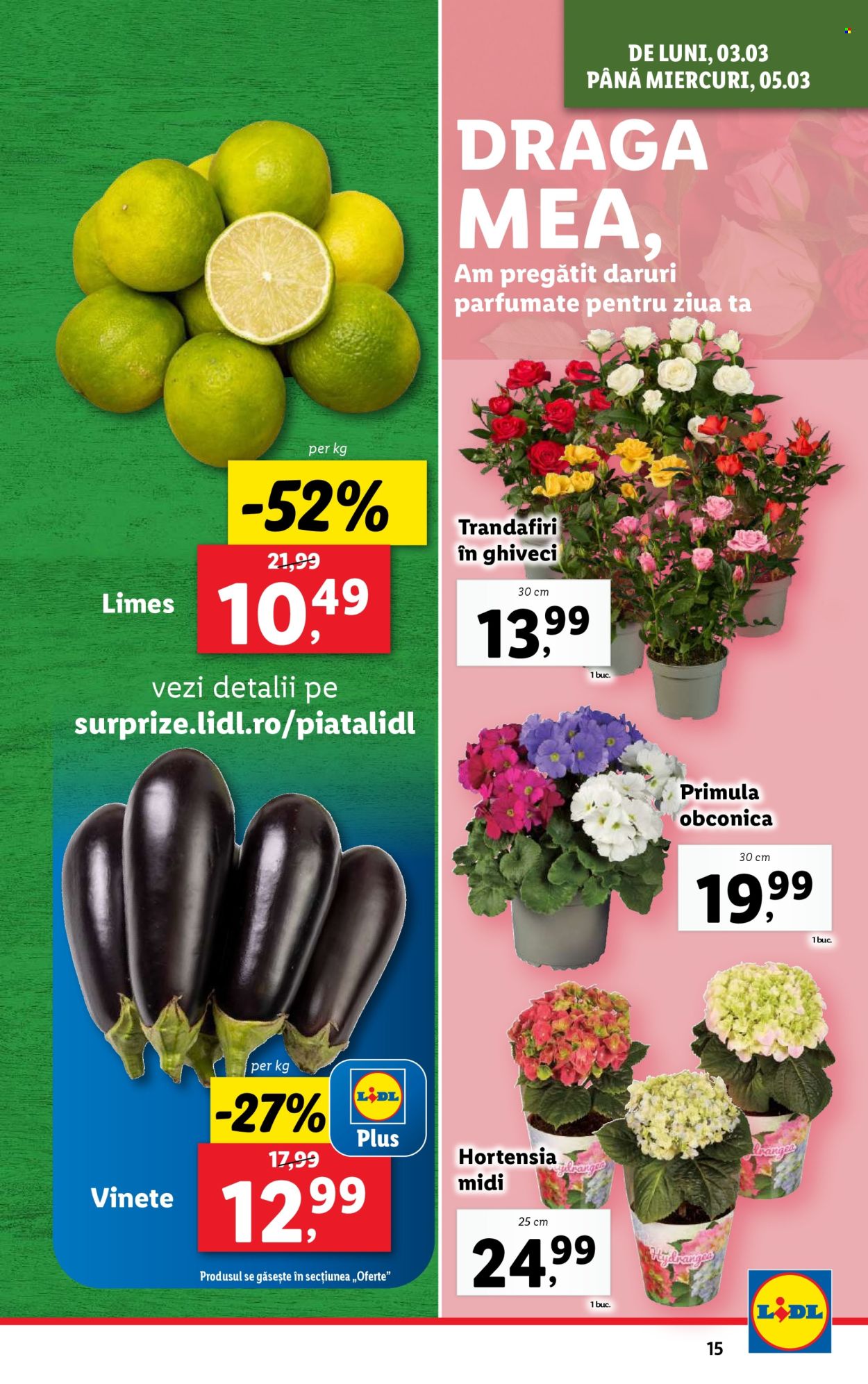 Catalog Lidl - 03.03.2025 - 09.03.2025. Pagina 15