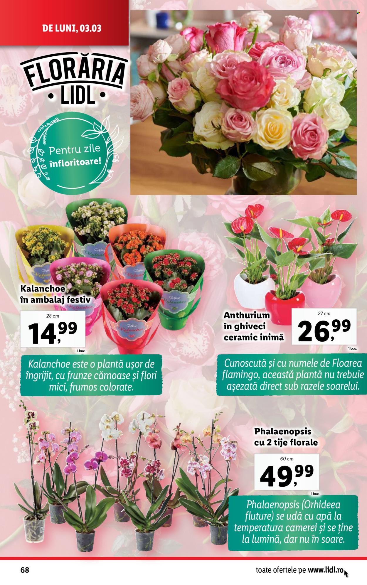 Catalog Lidl - 03.03.2025 - 09.03.2025. Pagina 68
