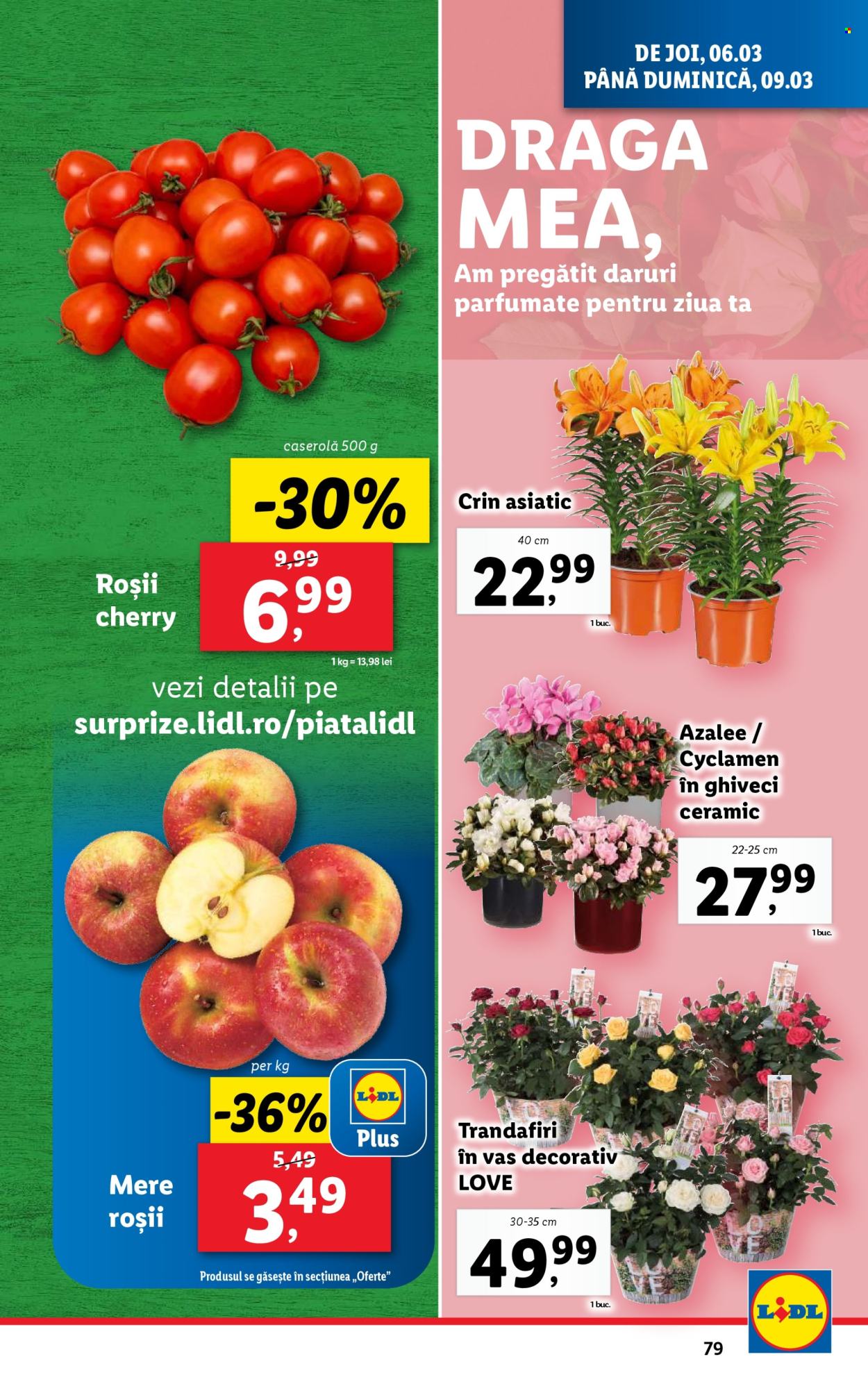Catalog Lidl - 03.03.2025 - 09.03.2025. Pagina 79
