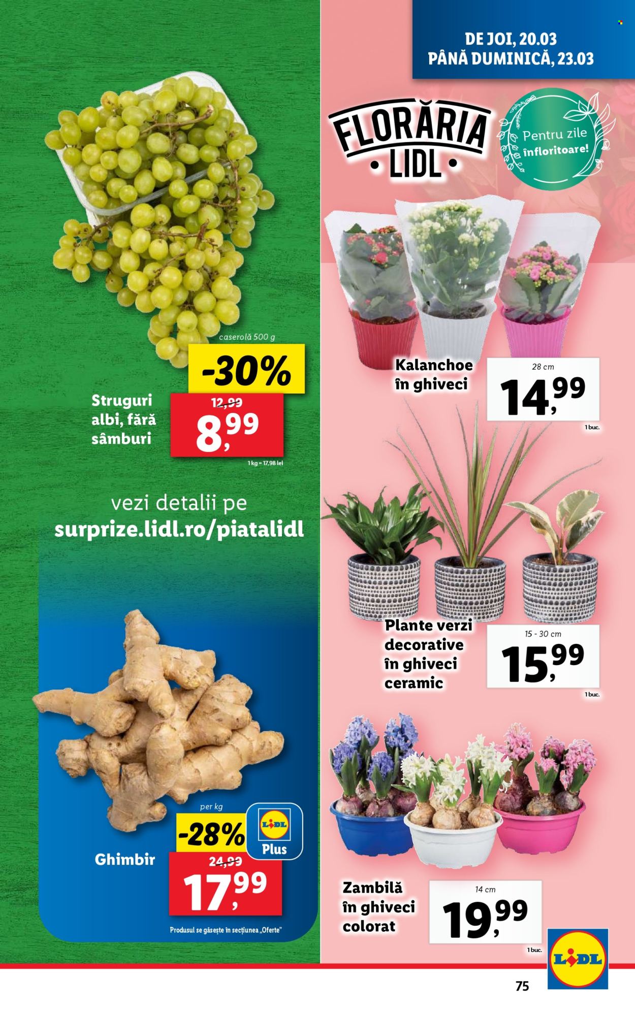 Catalog Lidl - 17.03.2025 - 23.03.2025. Pagina 75