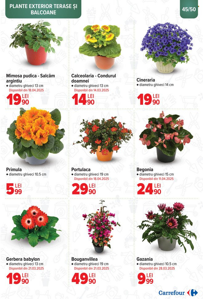 Catalog Carrefour - 12.03.2025 - 06.05.2025. Pagina 45