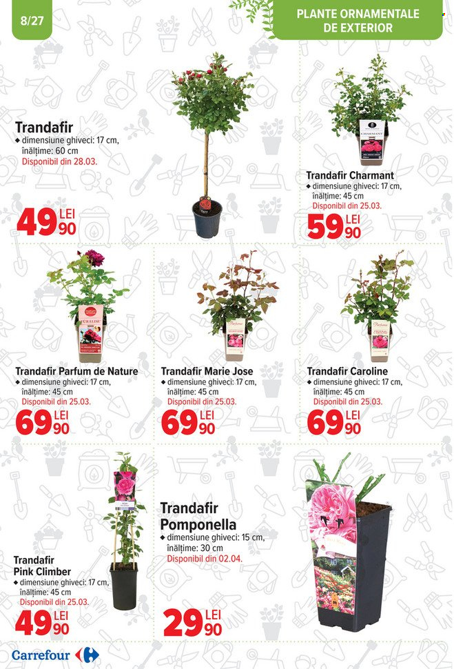 Catalog Carrefour - 12.02.2025 - 15.04.2025. Pagina 8