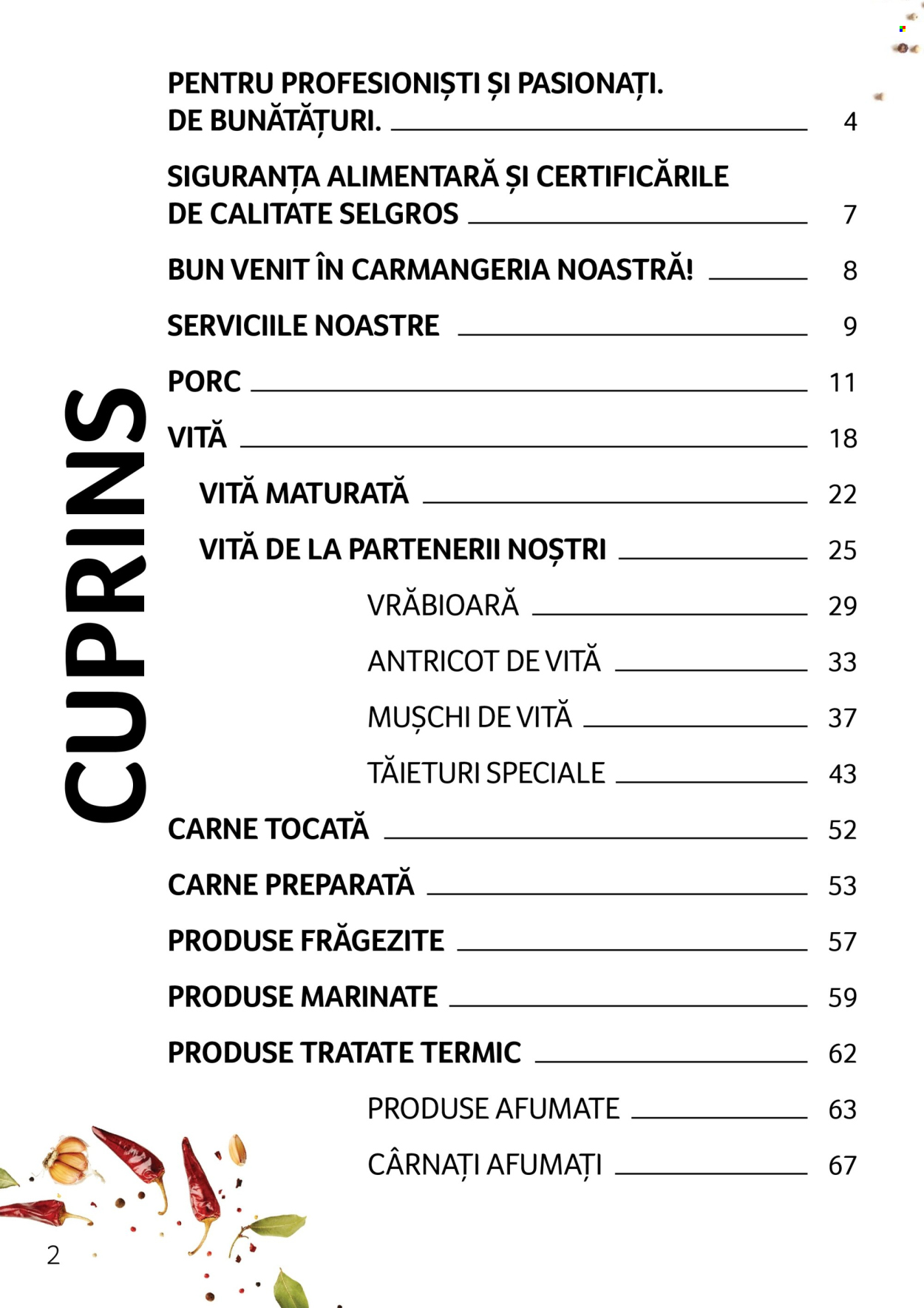 Catalog Selgros. Pagina 2
