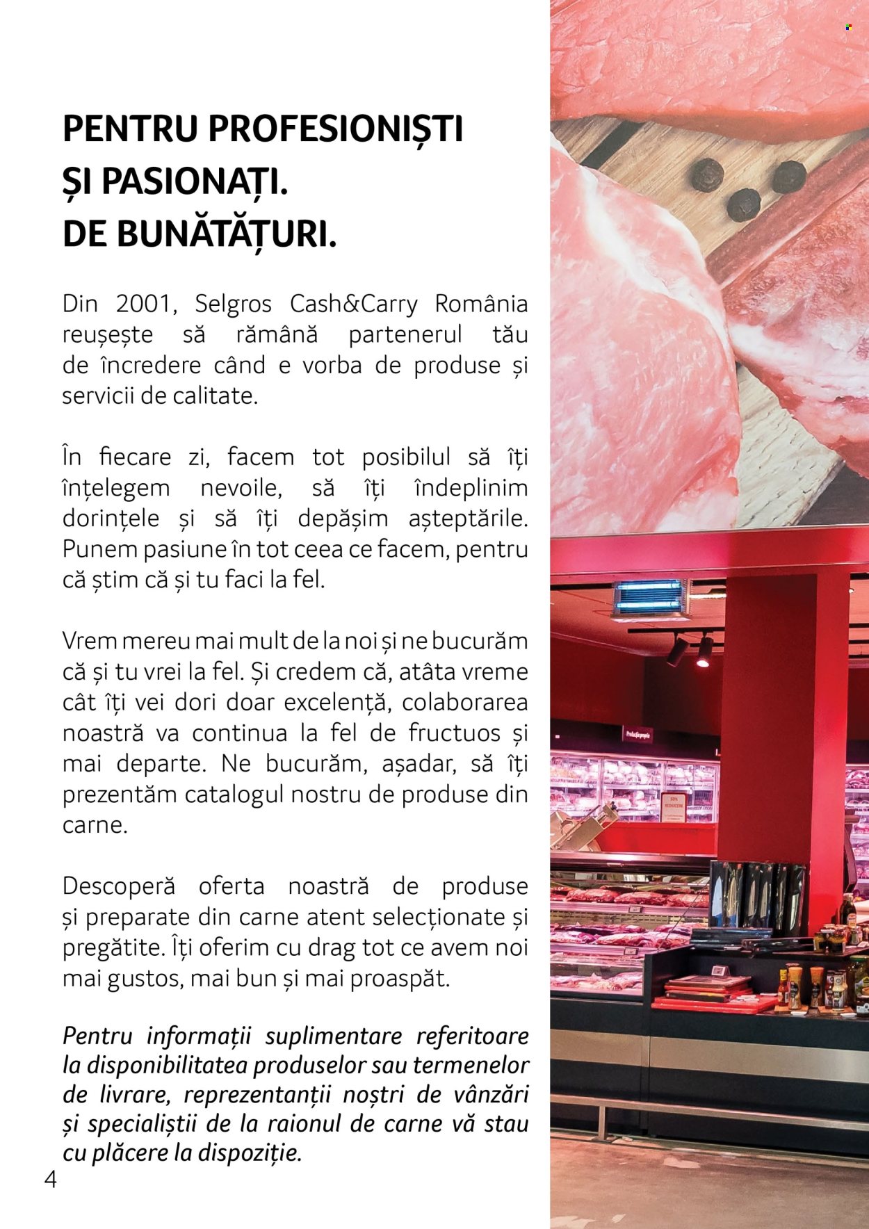 Catalog Selgros. Pagina 4