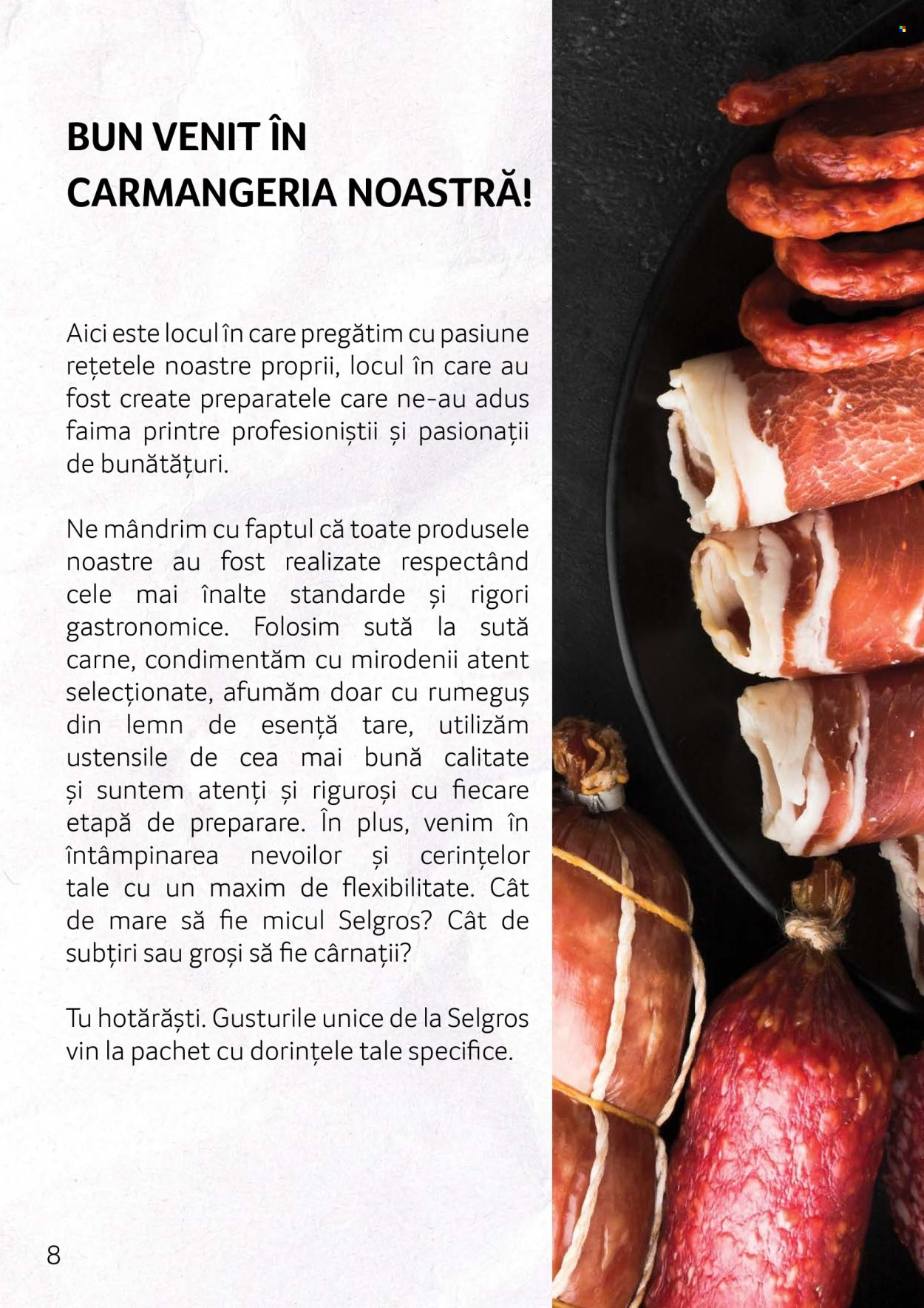 Catalog Selgros. Pagina 8