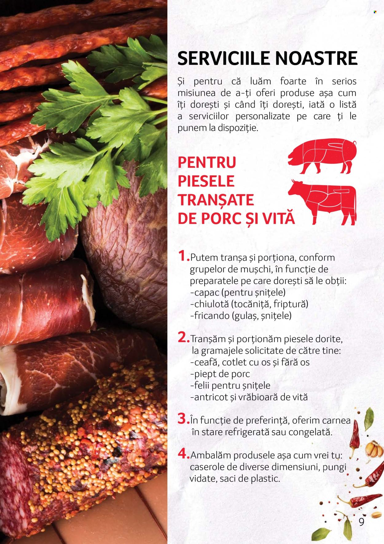 Catalog Selgros. Pagina 9