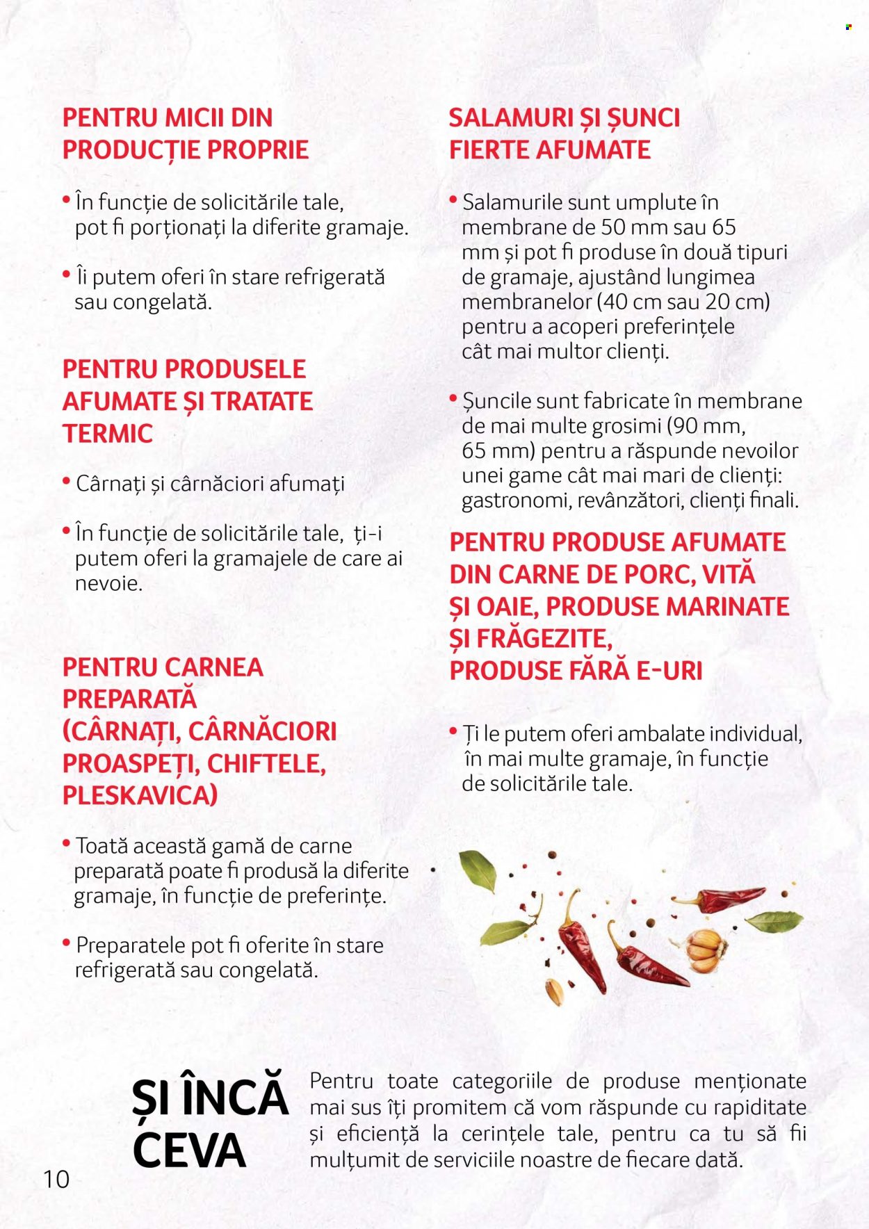 Catalog Selgros. Pagina 10