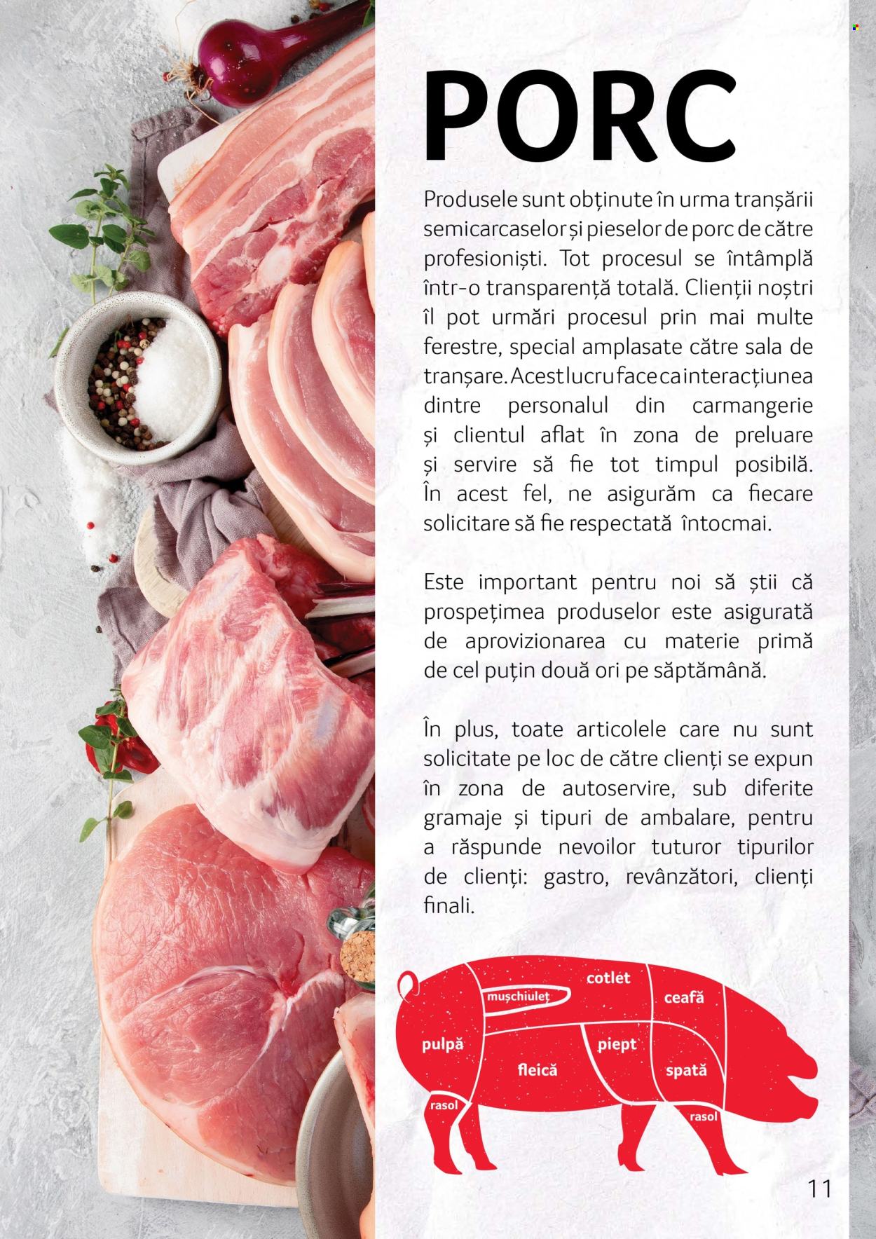 Catalog Selgros. Pagina 11