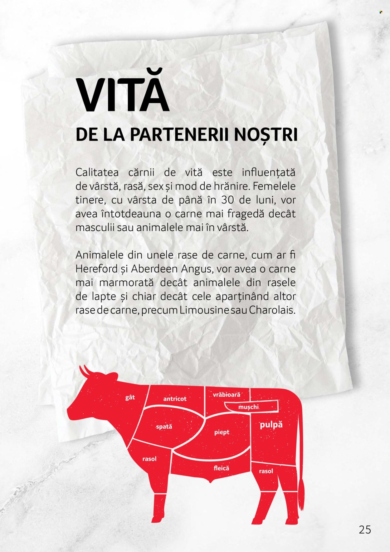 Catalog Selgros. Pagina 25