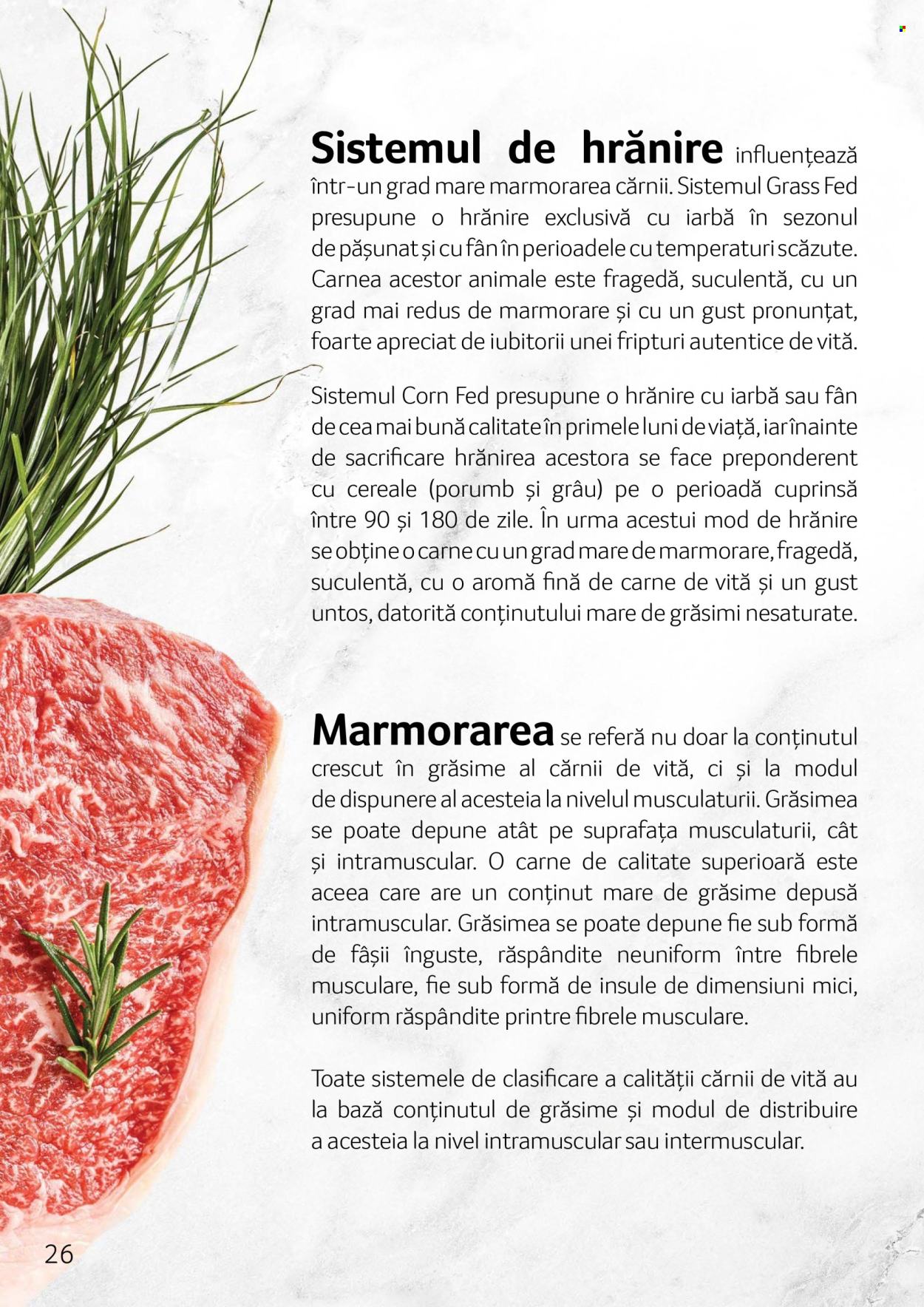 Catalog Selgros. Pagina 26