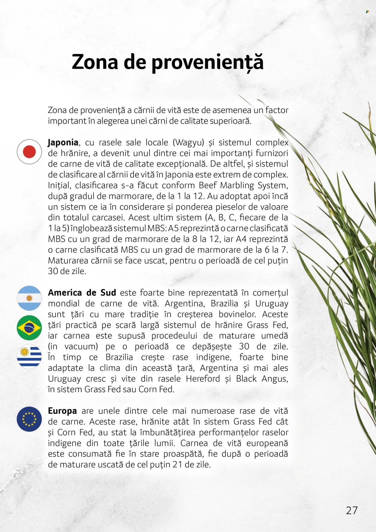 Catalog Selgros. Pagina 27