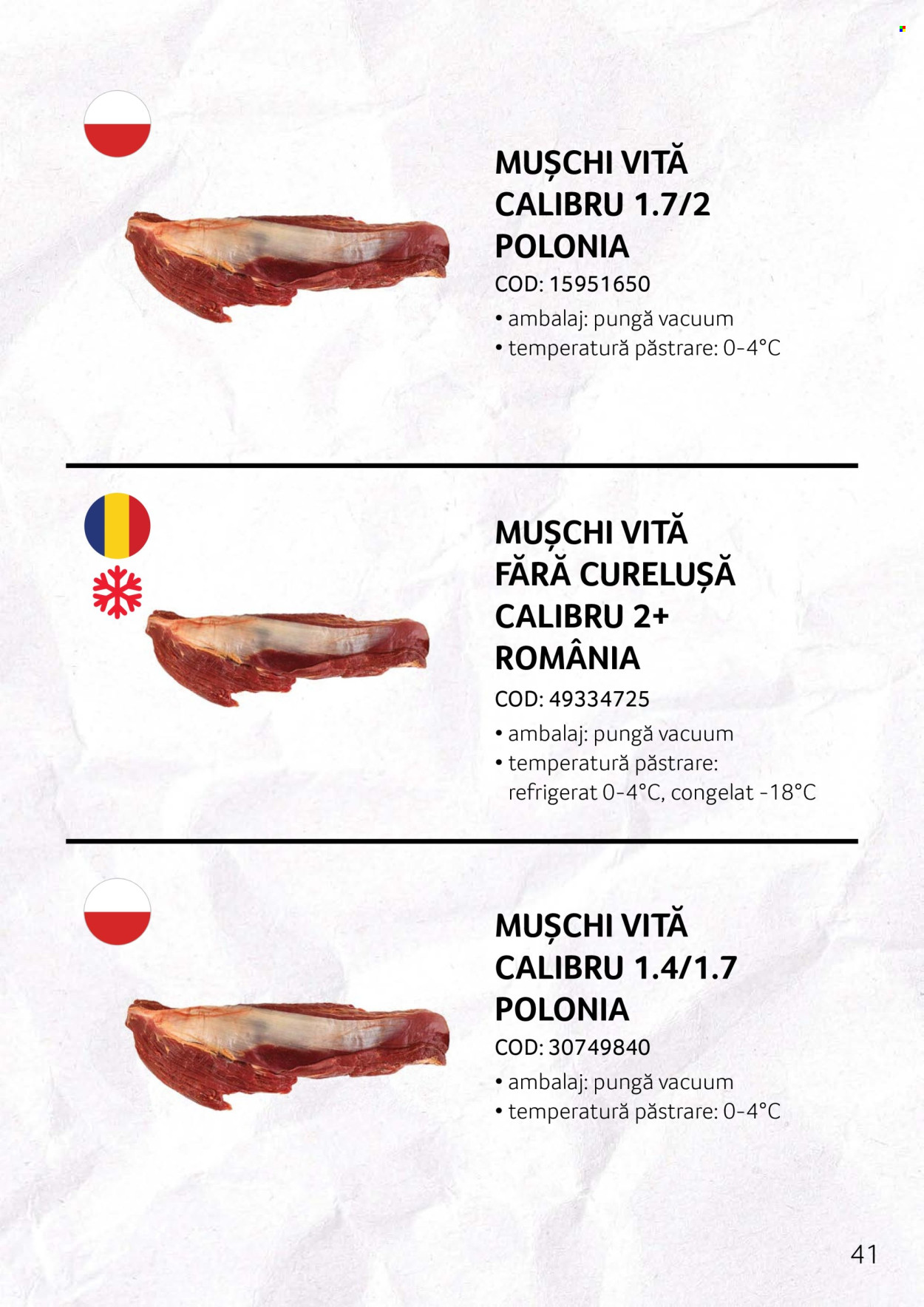 Catalog Selgros. Pagina 41