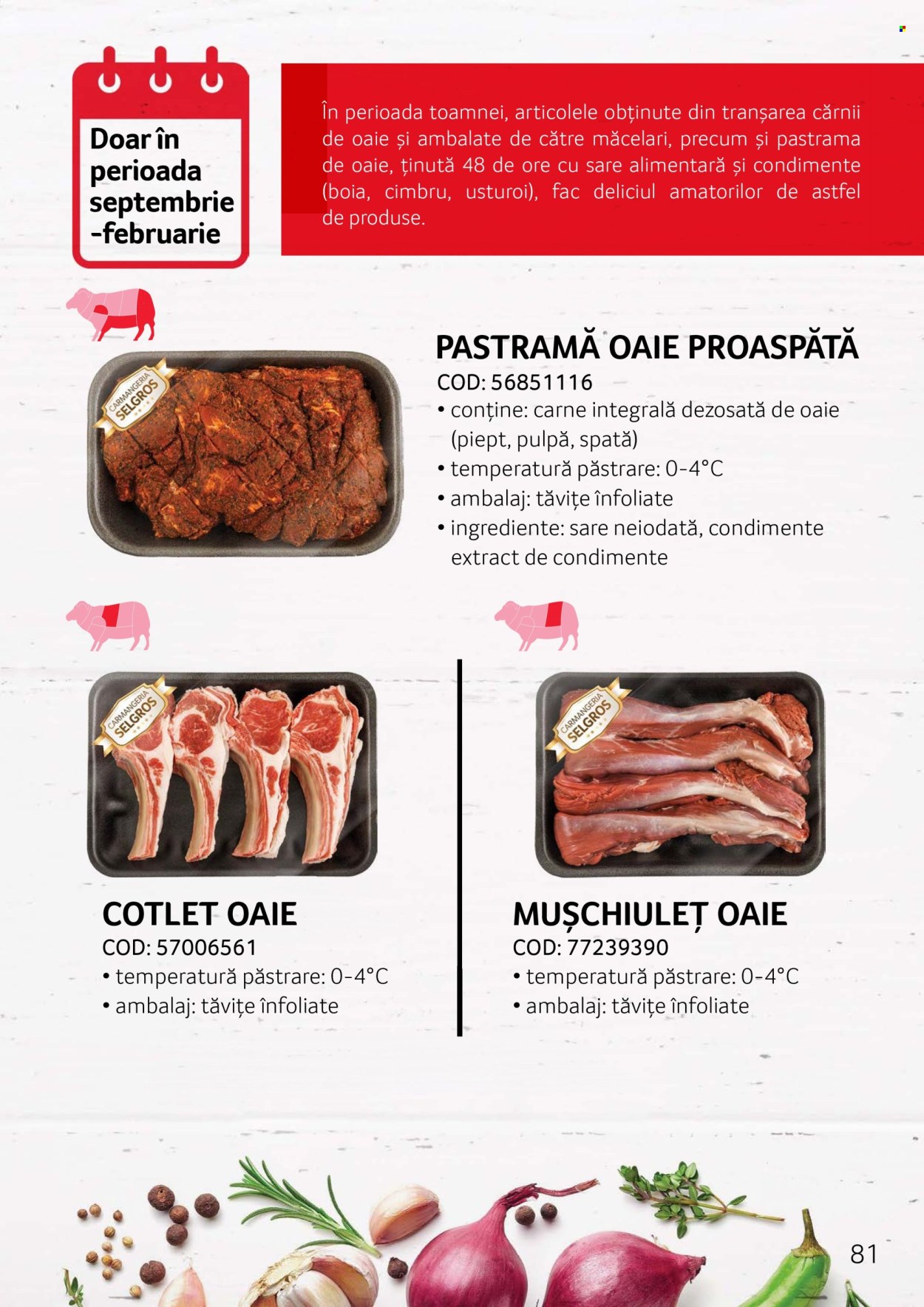 Catalog Selgros. Pagina 81