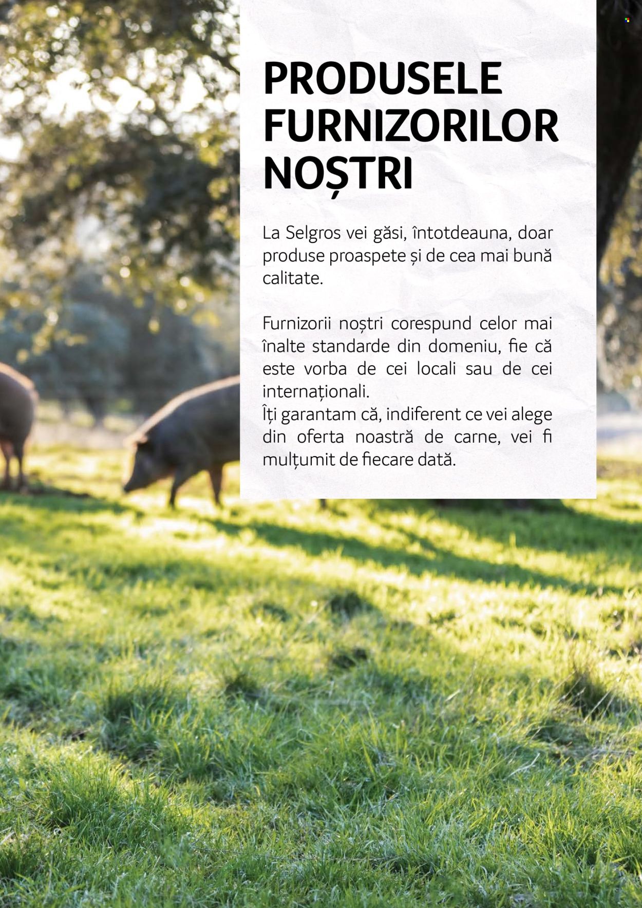 Catalog Selgros. Pagina 85
