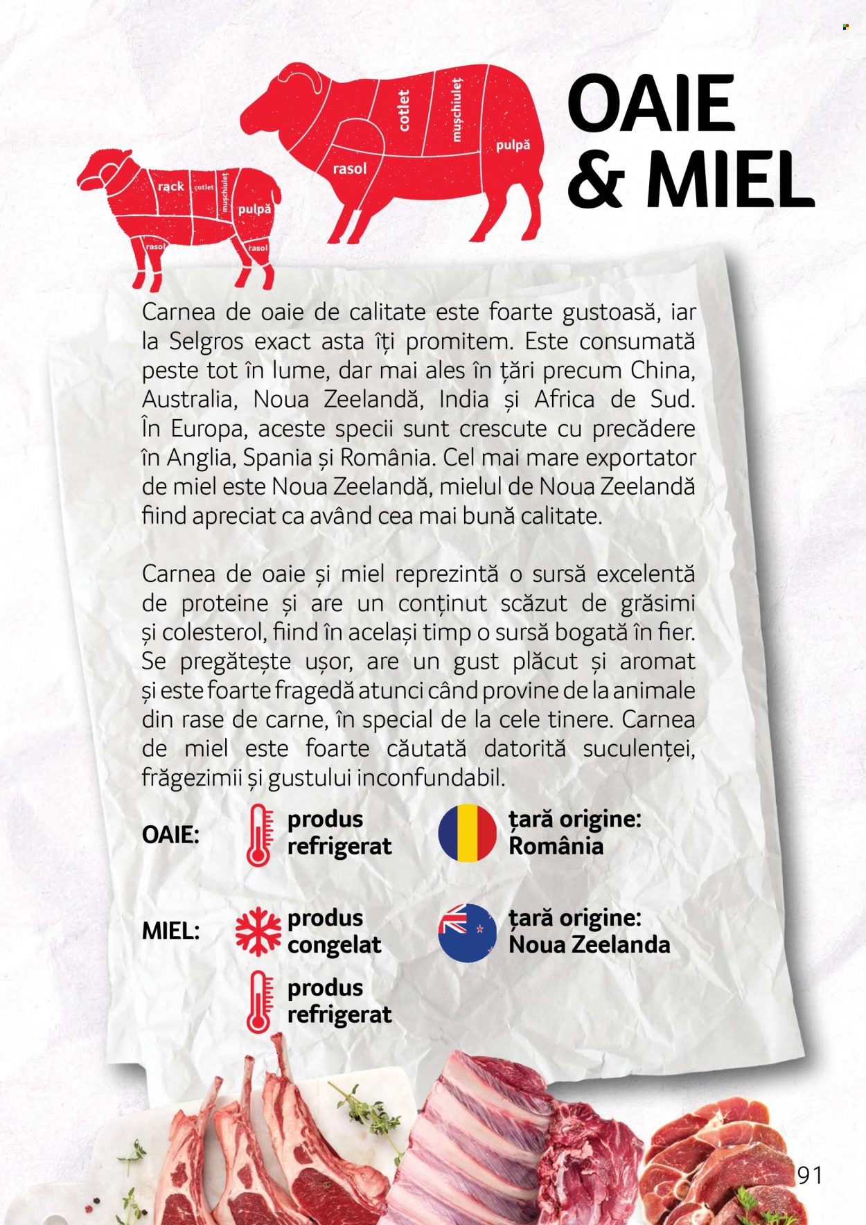 Catalog Selgros. Pagina 91