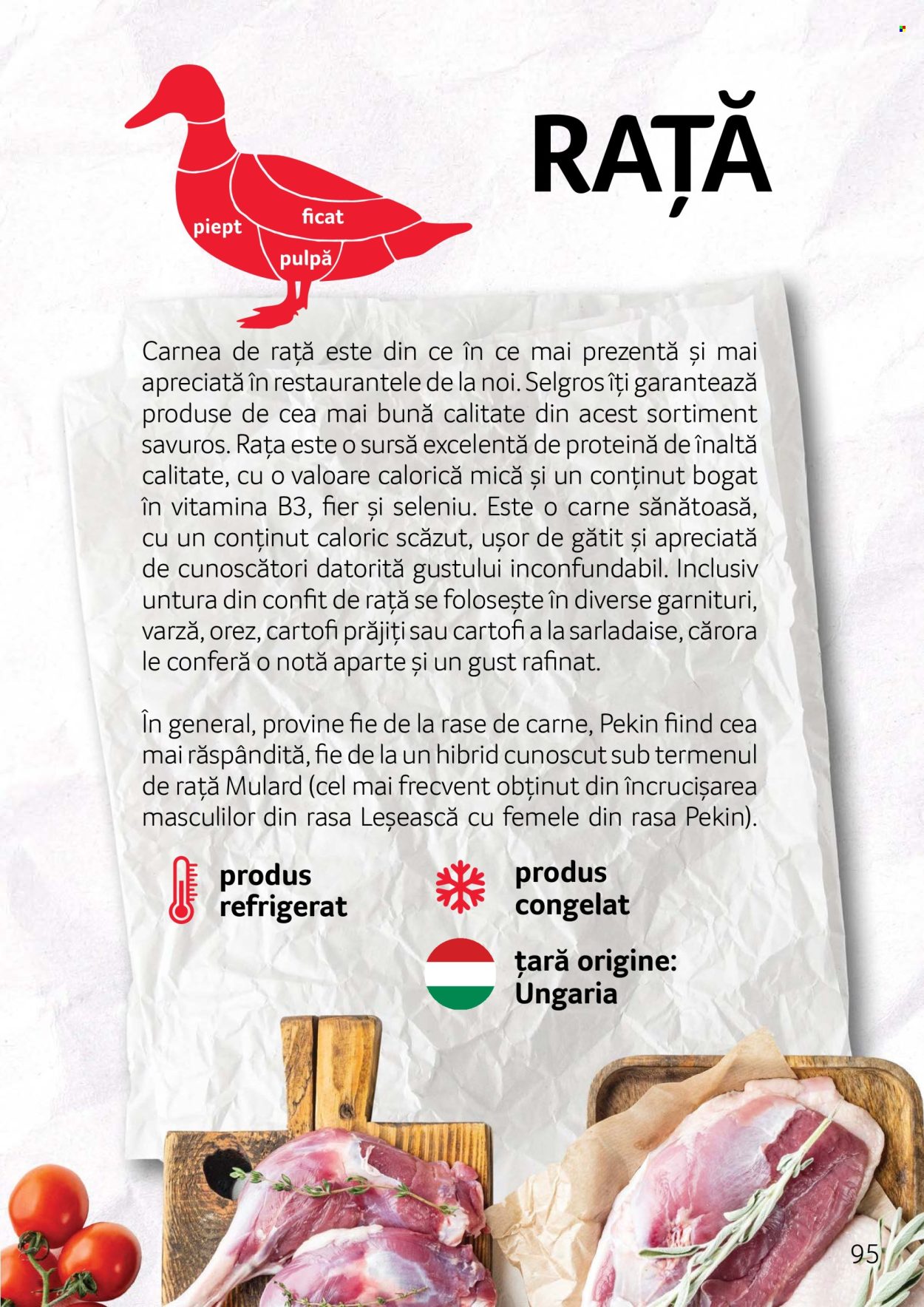 Catalog Selgros. Pagina 95