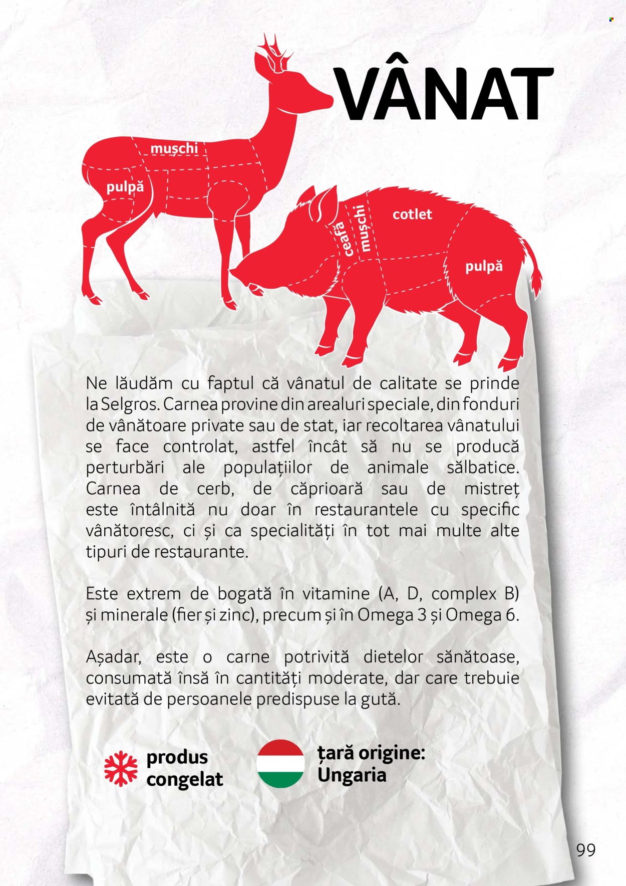 Catalog Selgros. Pagina 99