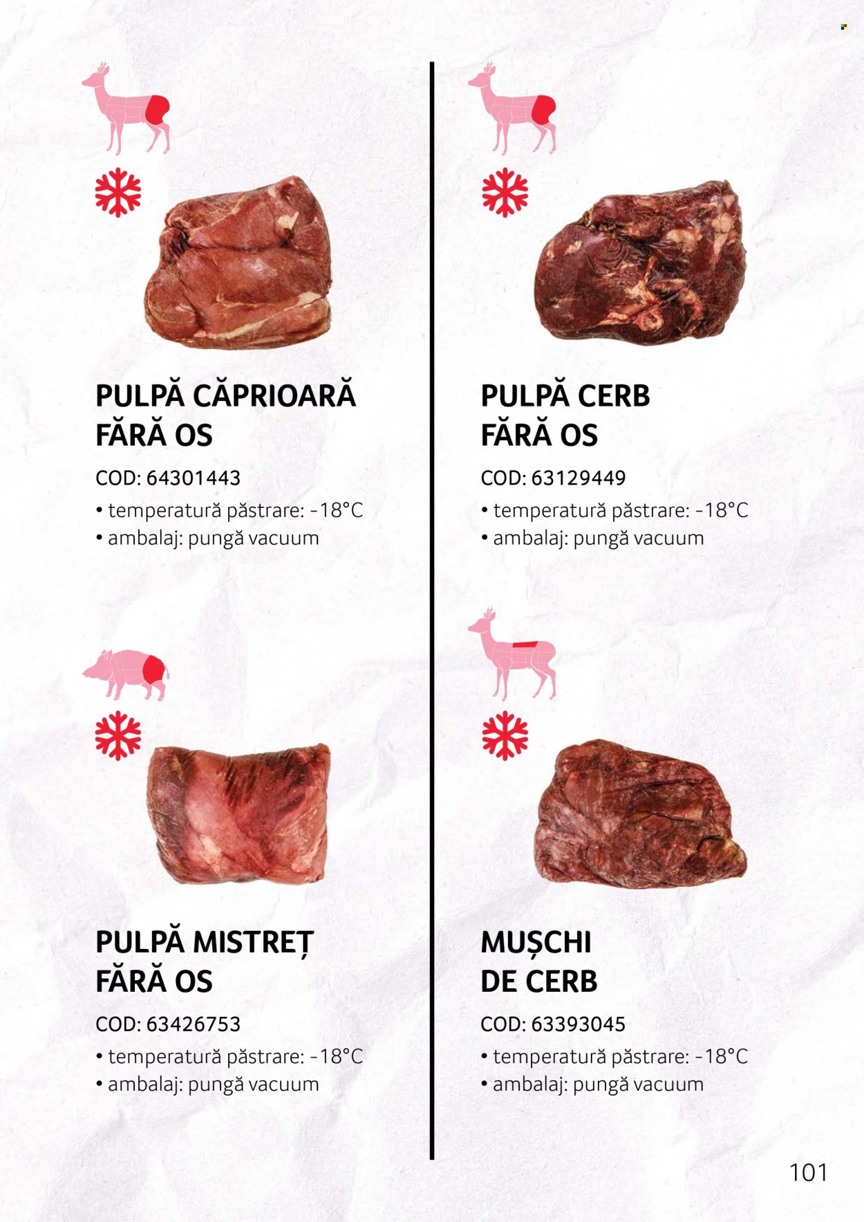 Catalog Selgros. Pagina 101