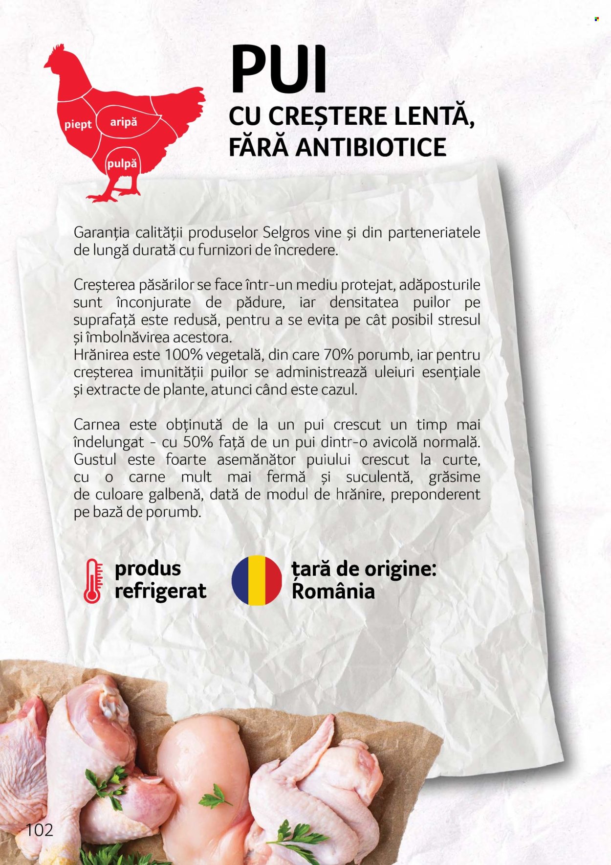 Catalog Selgros. Pagina 102