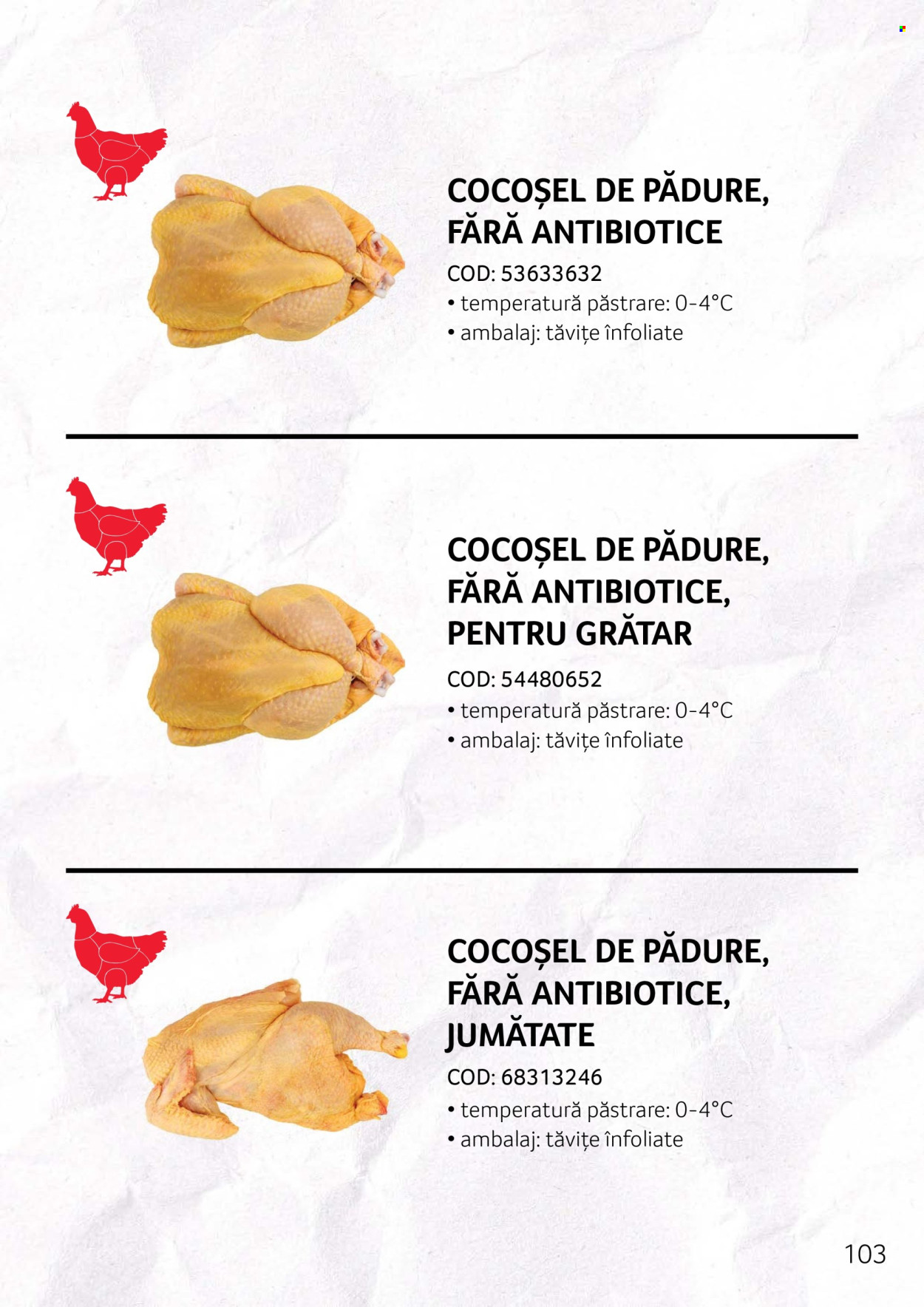Catalog Selgros. Pagina 103