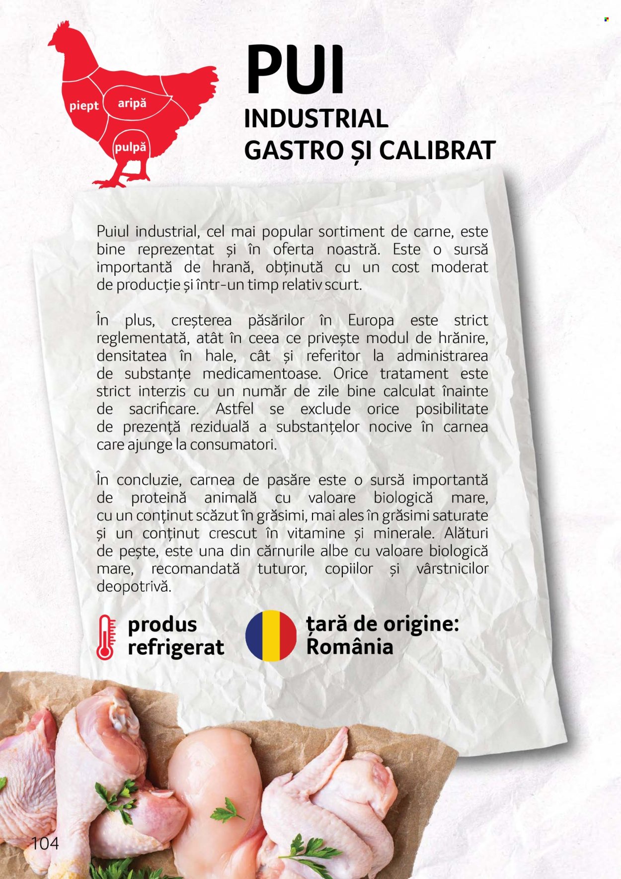 Catalog Selgros. Pagina 104