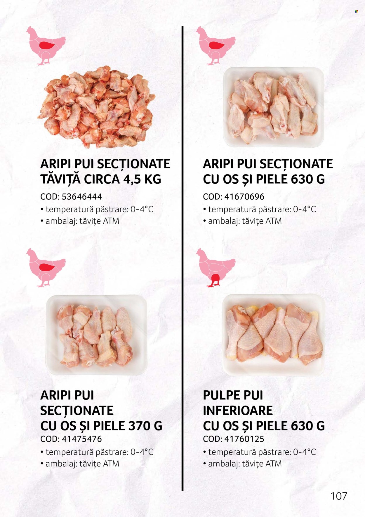 Catalog Selgros. Pagina 107